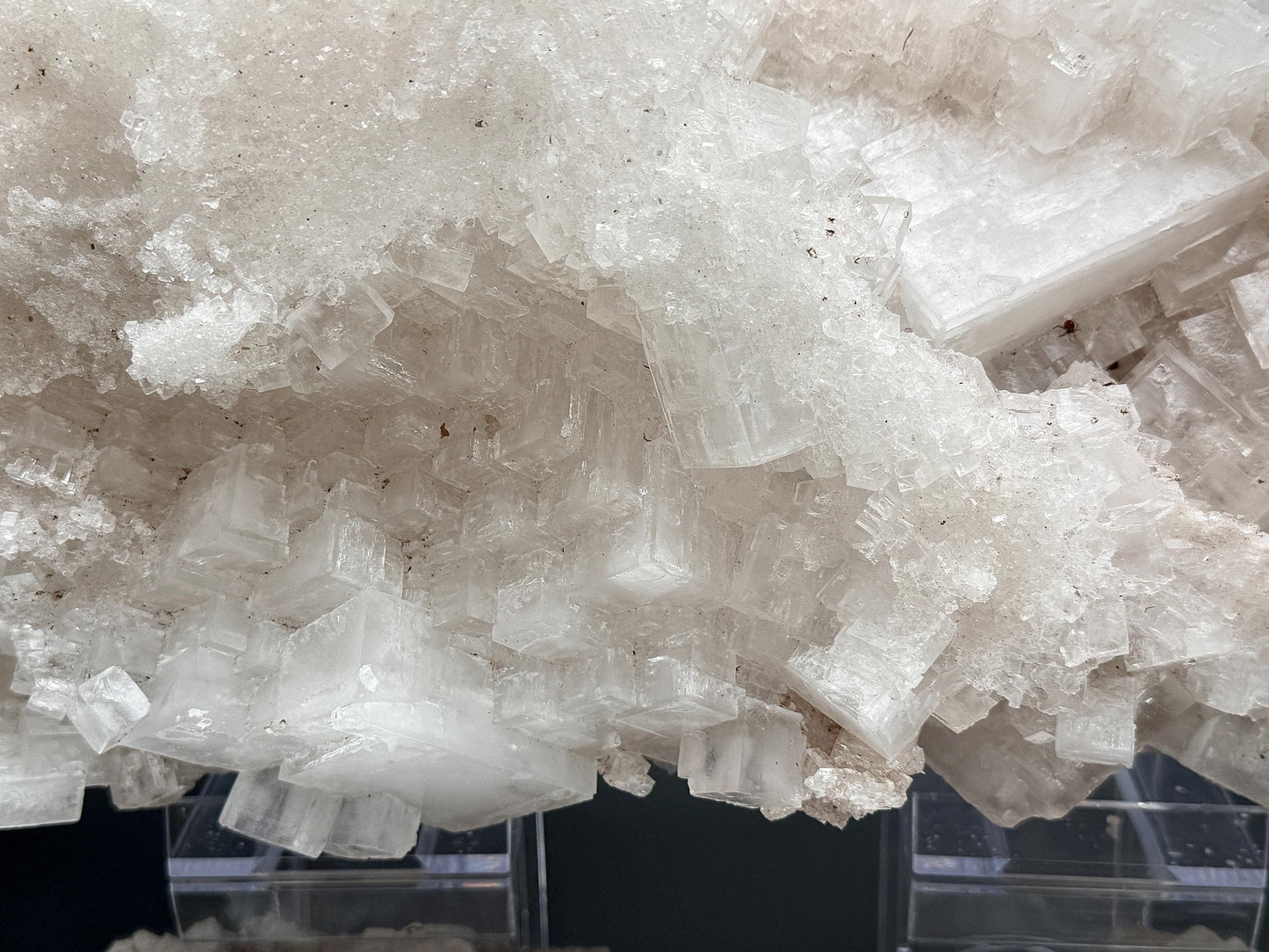 XXL Halite Cluster With Insect Inclusions - 7.11kg - Morocco