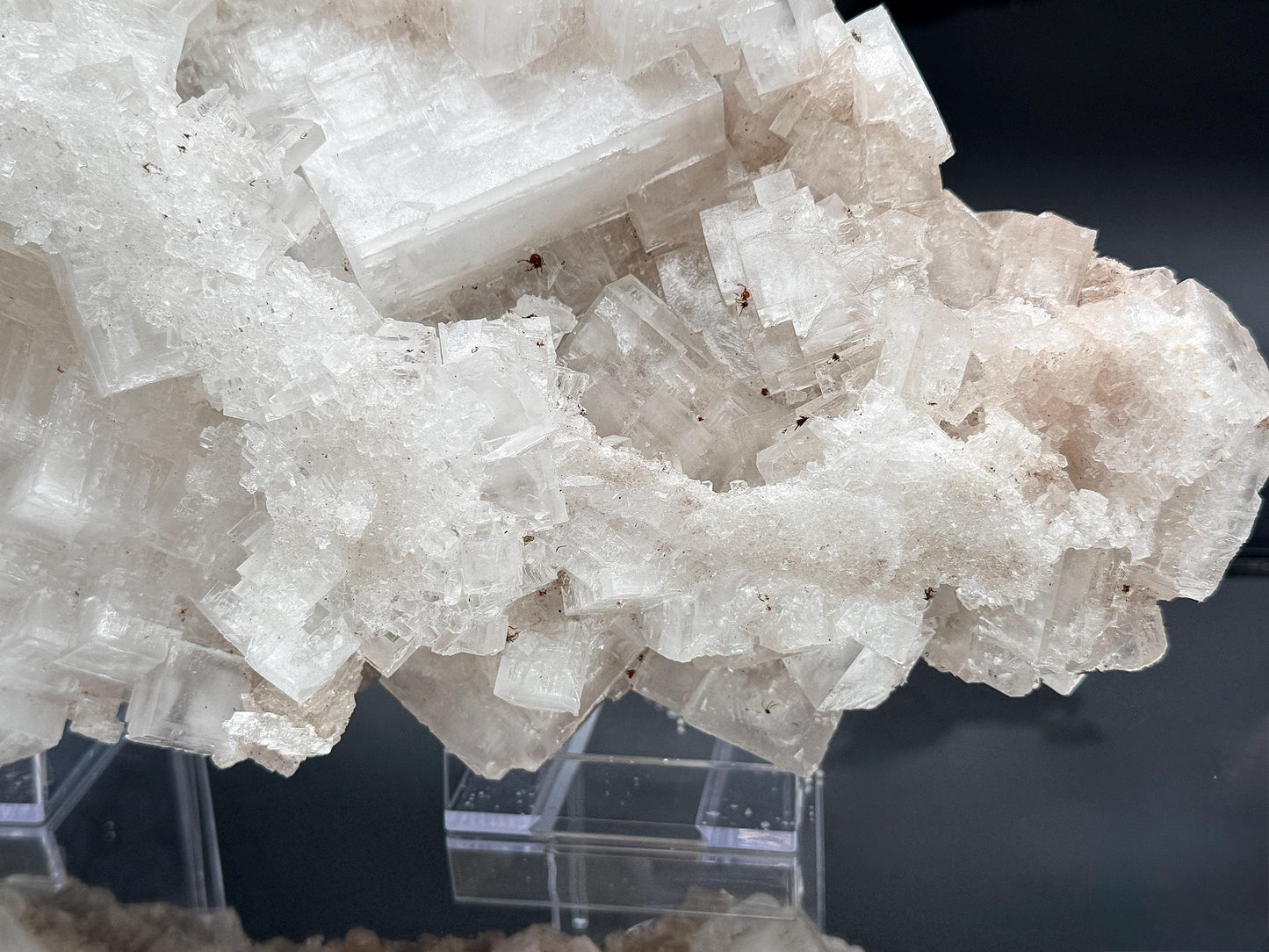 XXL Halite Cluster With Insect Inclusions - 7.11kg - Morocco