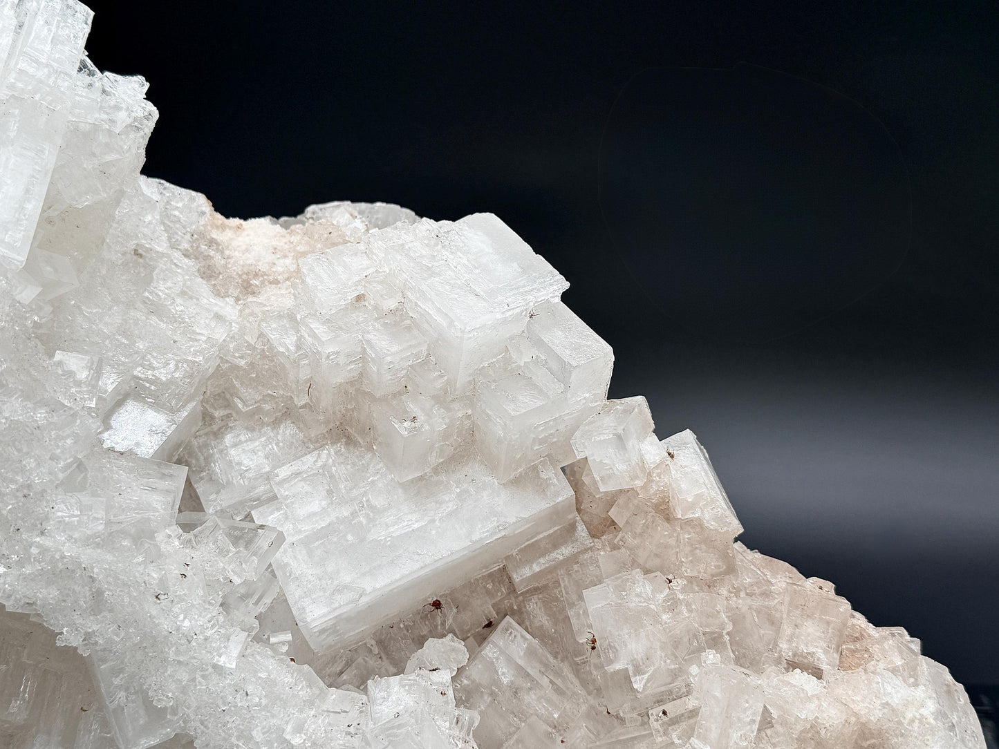 XXL Halite Cluster With Insect Inclusions - 7.11kg - Morocco