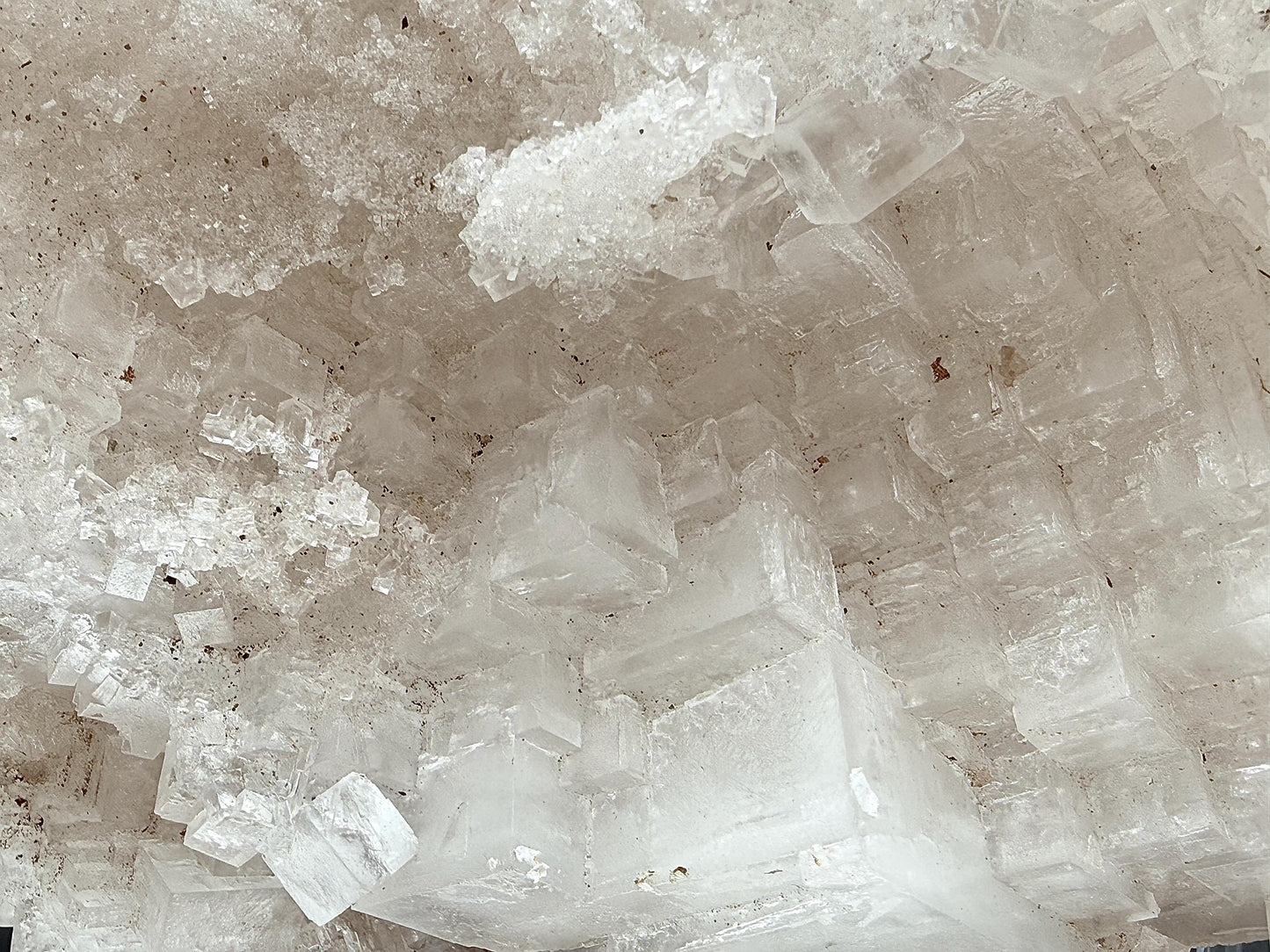 XXL Halite Cluster With Insect Inclusions - 7.11kg - Morocco