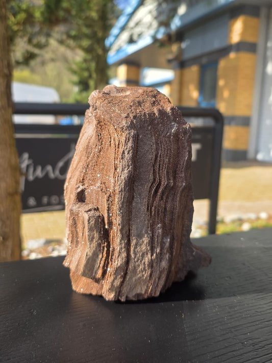 Large Petrified Wood with Quartz Druzy, Rare Fossil Wood Germany, Collector Specimen  (#38)