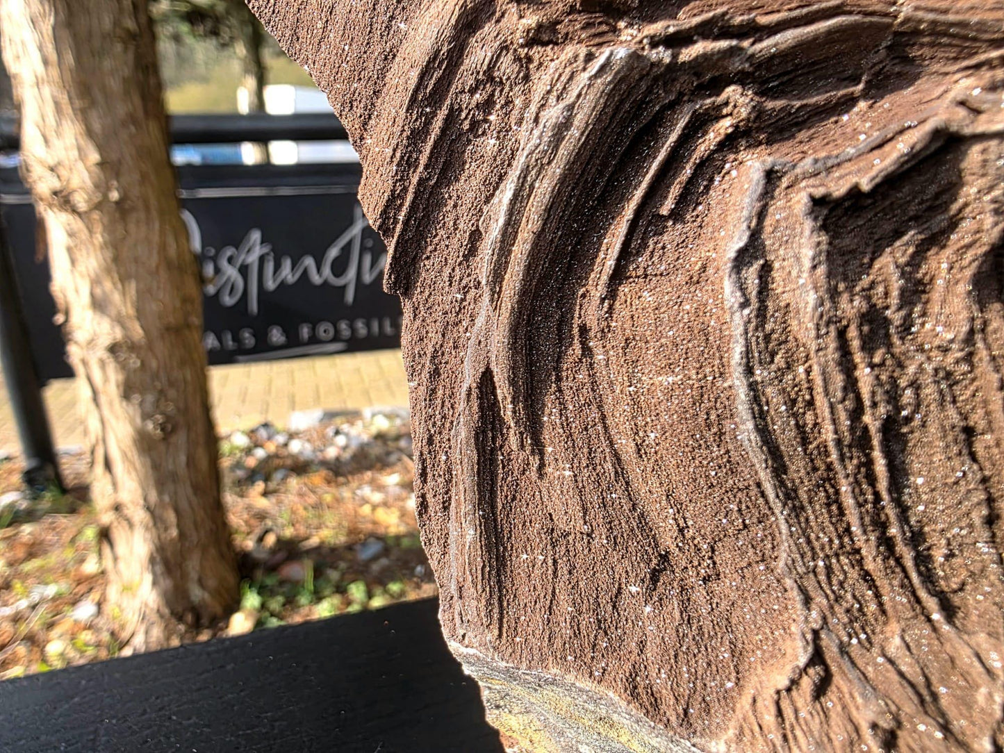 Large Petrified Wood with Quartz Druzy, Rare Fossil Wood Germany, Collector Specimen  (#35)