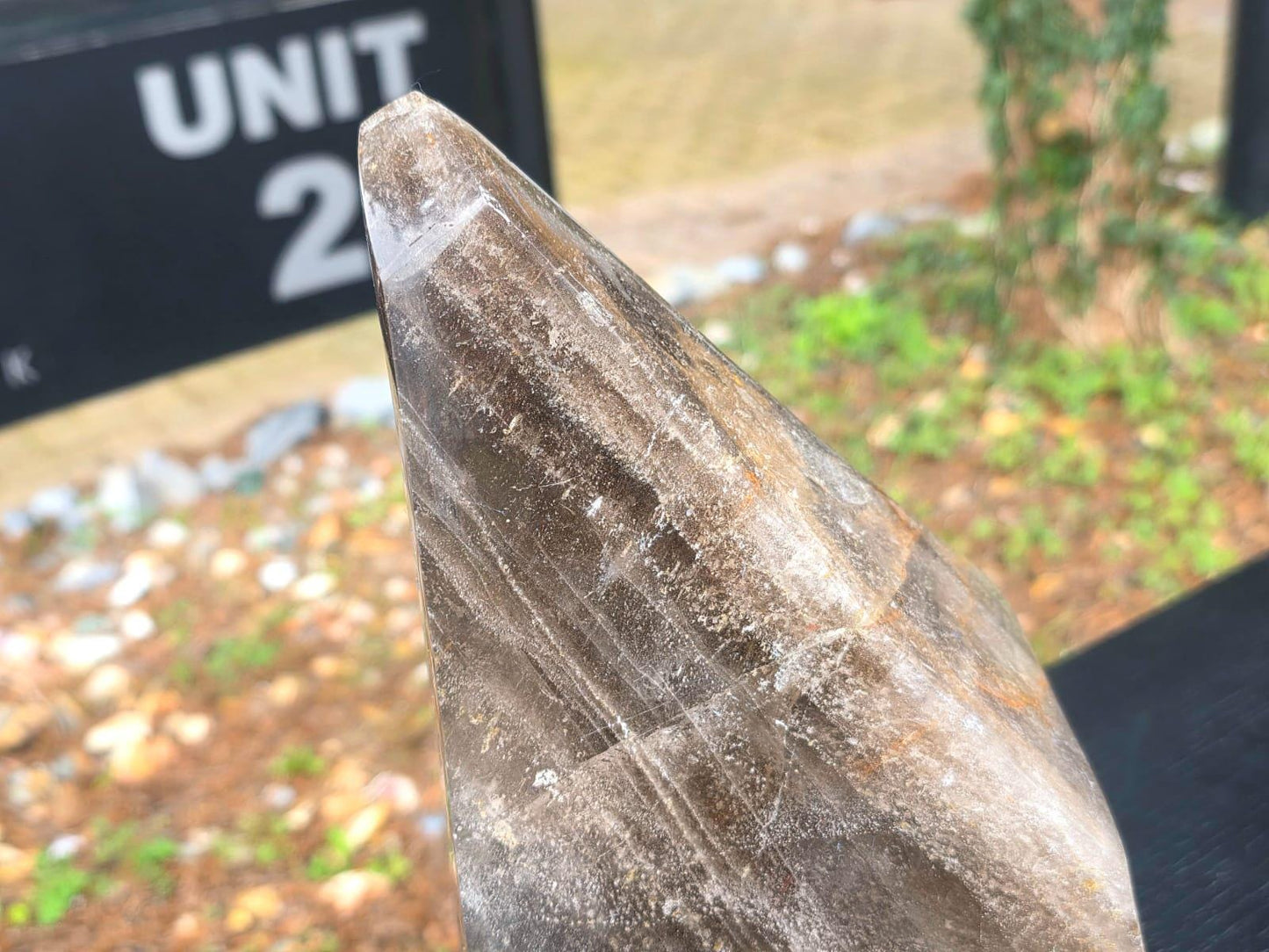 XL Smoky Quartz Freeform 6.8kg Madagascar Crystal |  Statement Piece Unique Home Decor