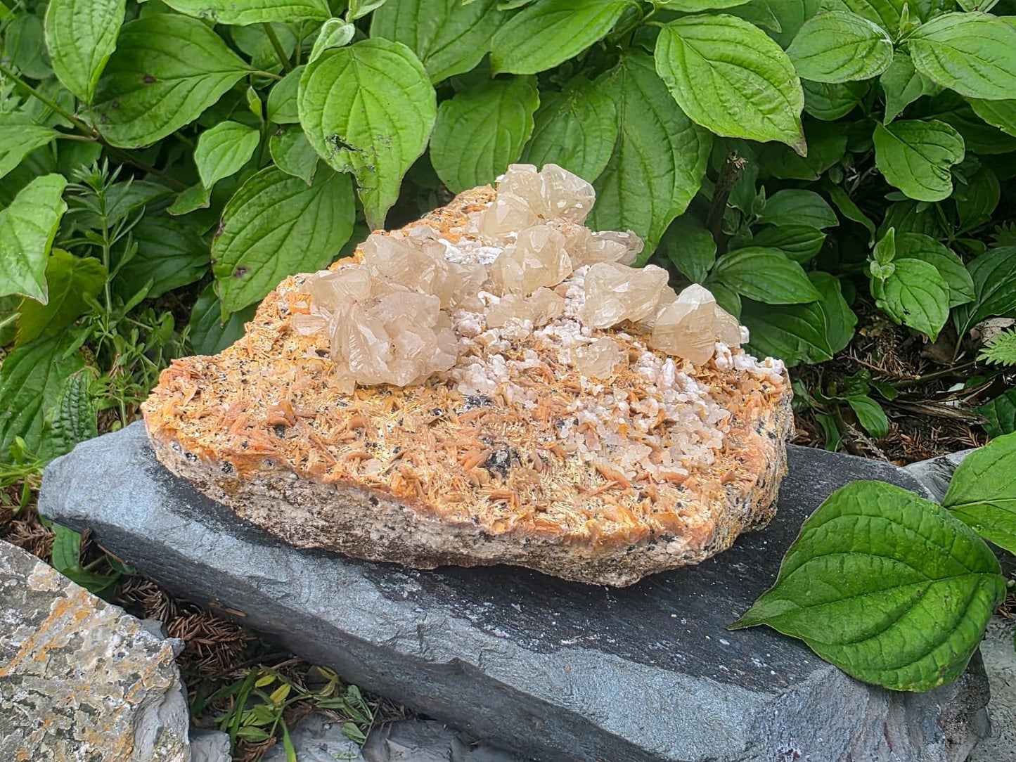 Large Cerussite on Barite Matrix 1.6kg | Moroccan Mineral Specimen | Fluorescent Crystal Cluster | Collectors Piece