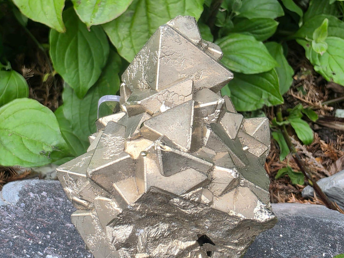 Large Peruvian Octahedral Pyrite Crystal Cluster | “Fool’s Gold” Specimen #11