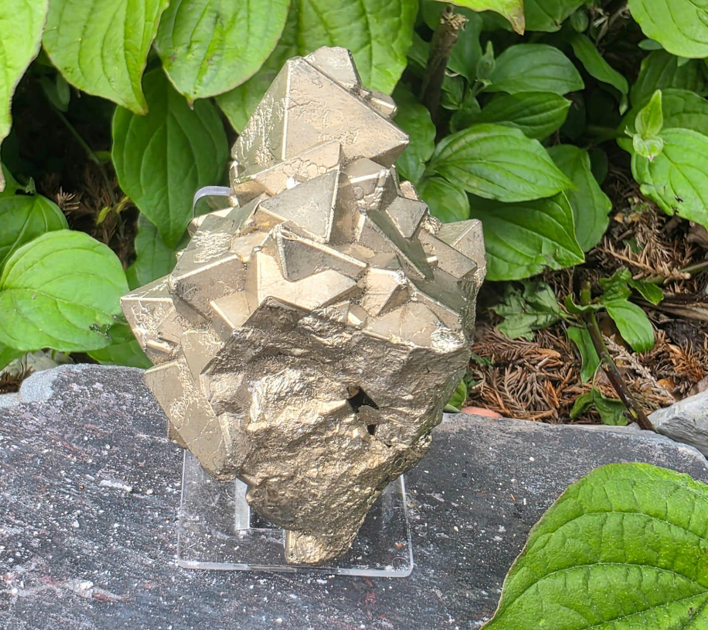Large Peruvian Octahedral Pyrite Crystal Cluster | “Fool’s Gold” Specimen #11