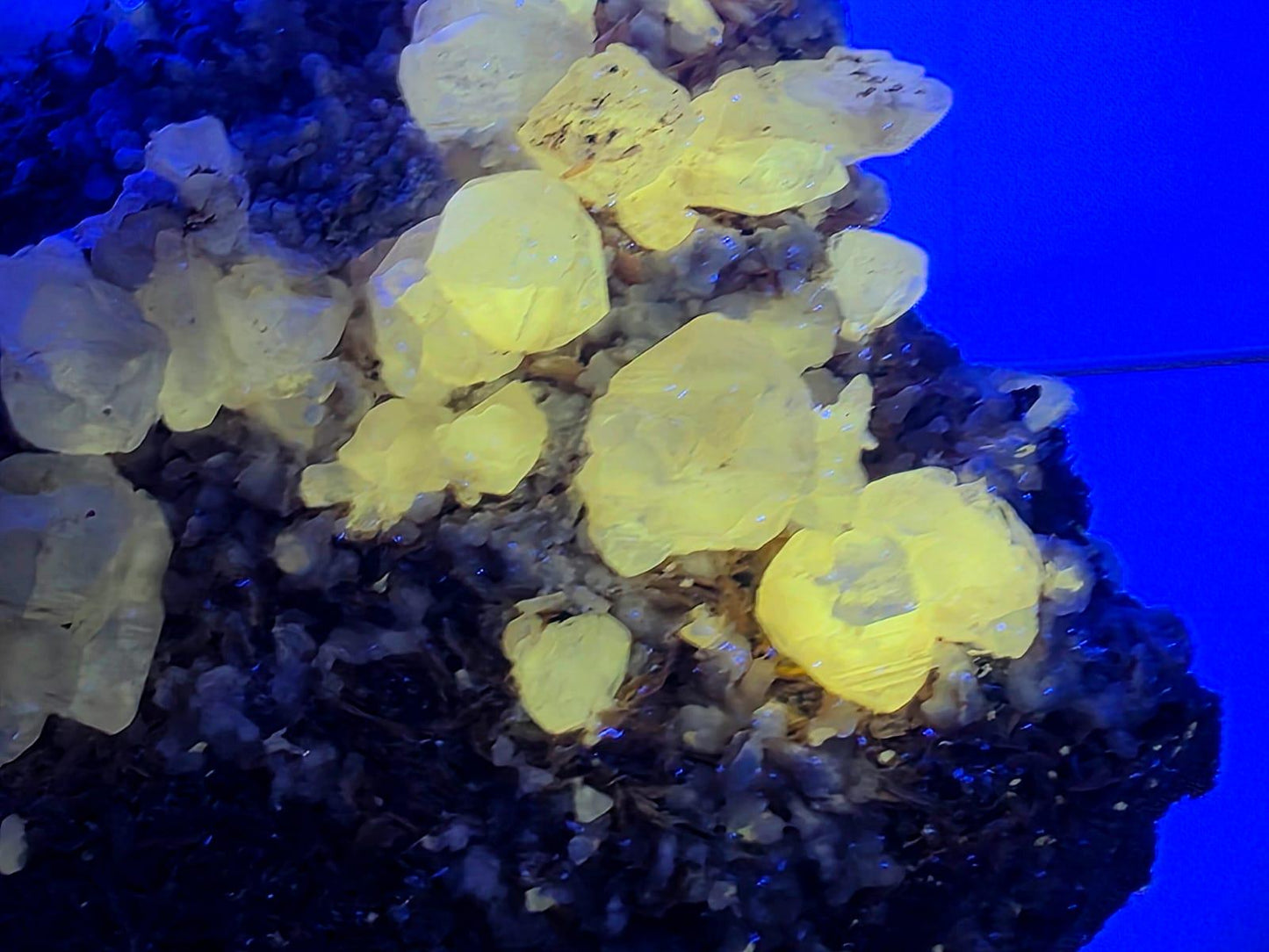 Large Cerussite on Barite Matrix 1.6kg | Moroccan Mineral Specimen | Fluorescent Crystal Cluster | Collectors Piece