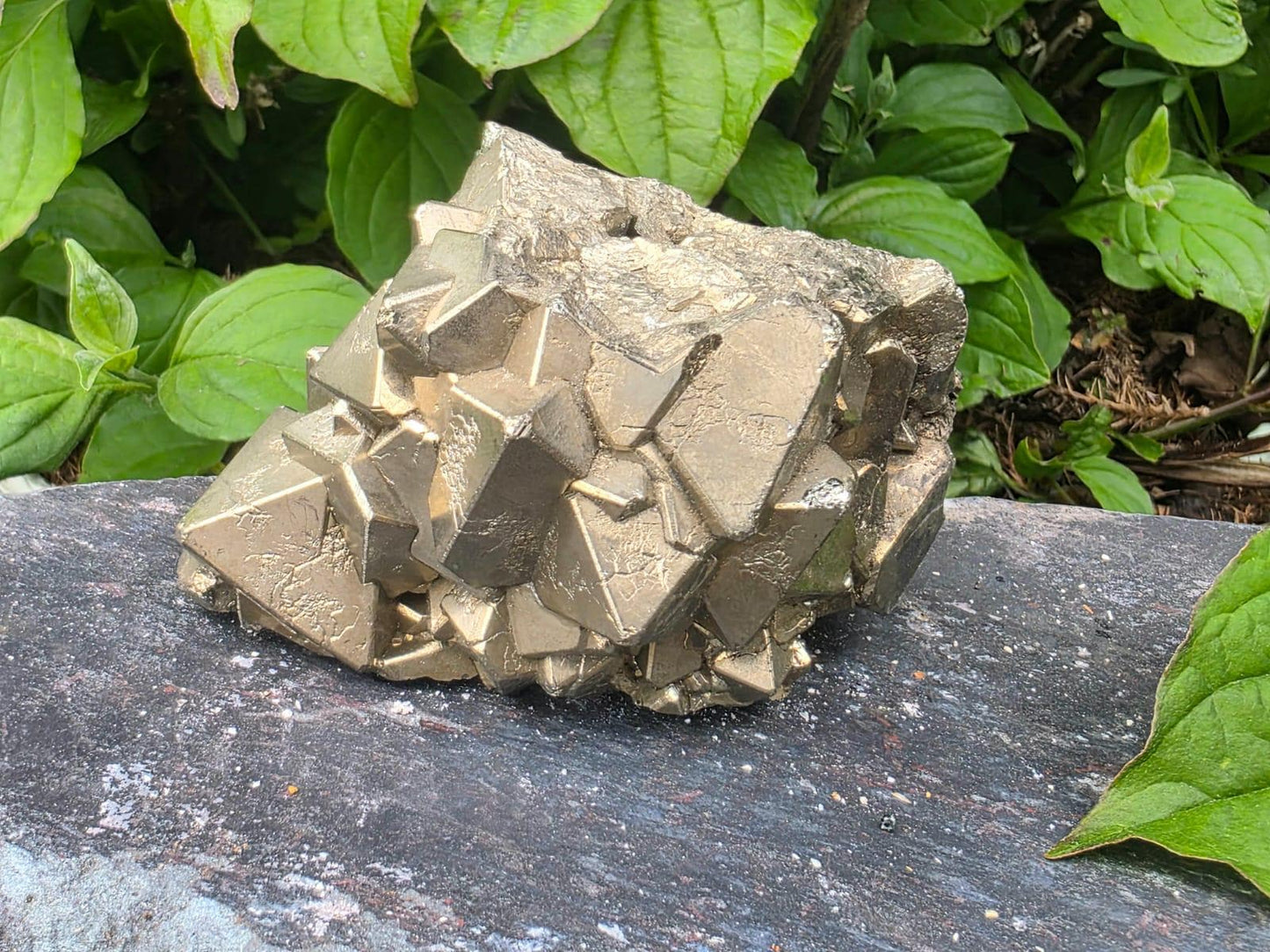 Large Peruvian Octahedral Pyrite Crystal Cluster | “Fool’s Gold” Specimen #11
