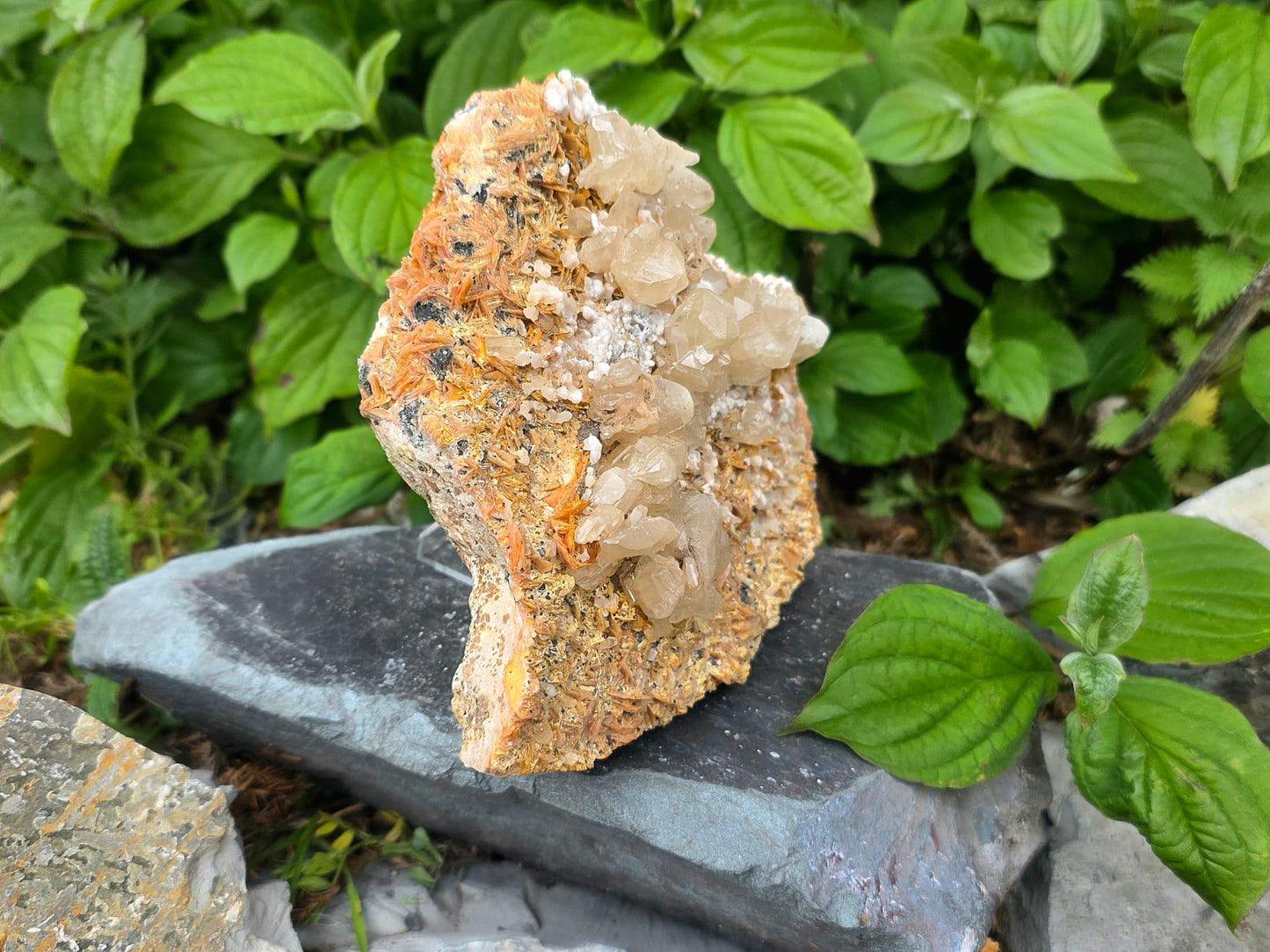Large Cerussite on Barite Matrix 1.6kg | Moroccan Mineral Specimen | Fluorescent Crystal Cluster | Collectors Piece