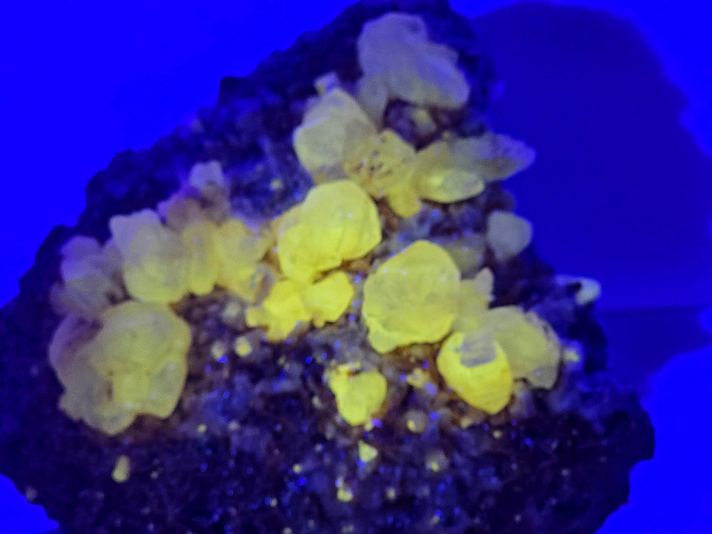 Large Cerussite on Barite Matrix 1.6kg | Moroccan Mineral Specimen | Fluorescent Crystal Cluster | Collectors Piece