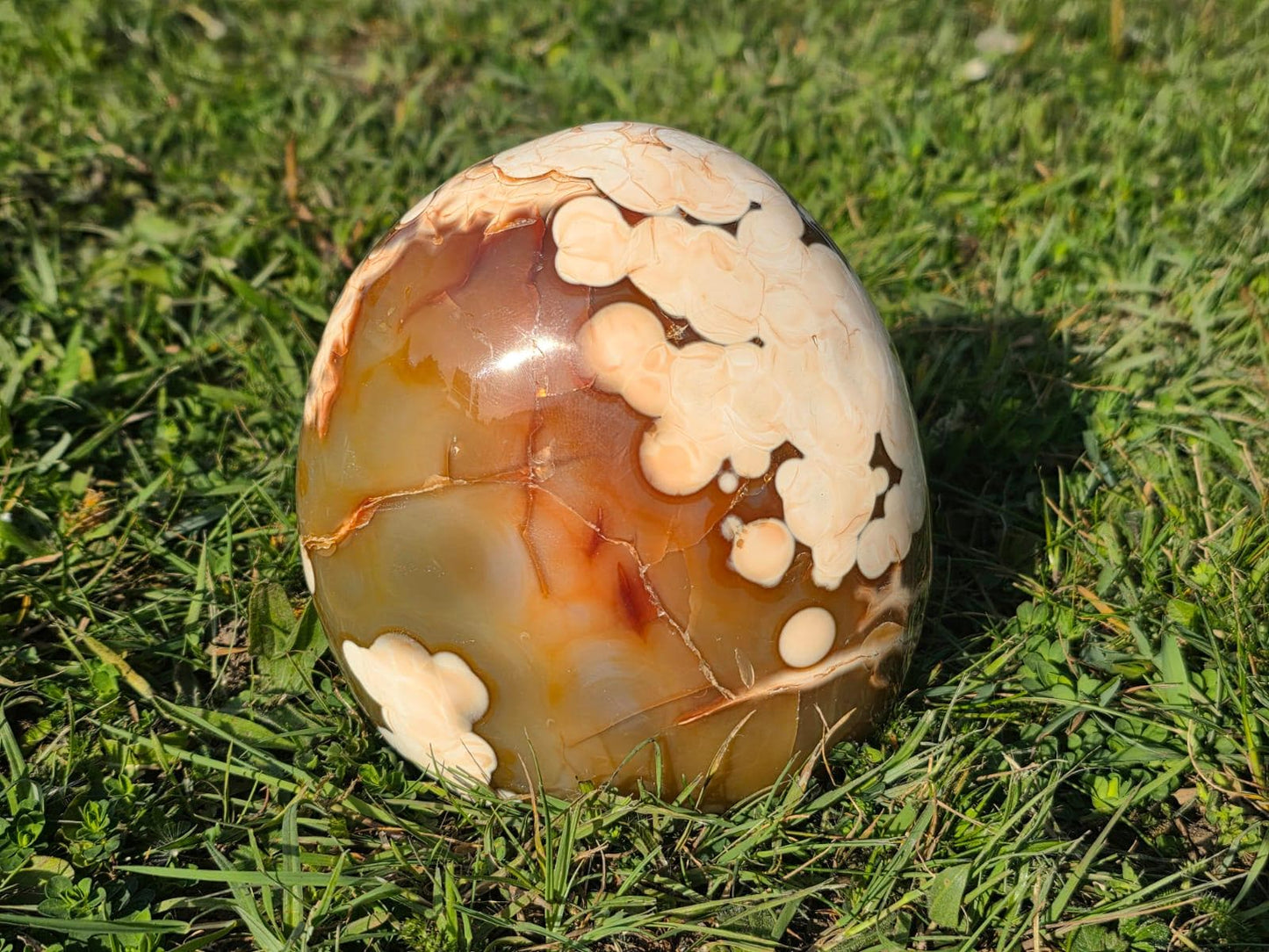Extra Large Carnelian Crystal | Polished Madagascar Stone | Decorative Freeform