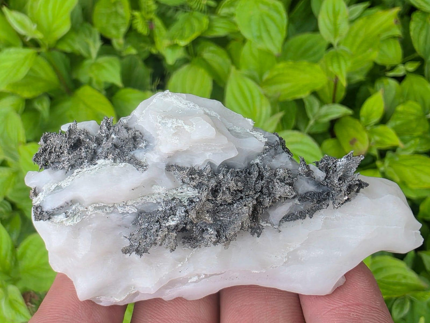 Native Silver Crystal in Calcite Matrix | Collectors Grade Mineral Specimen #14