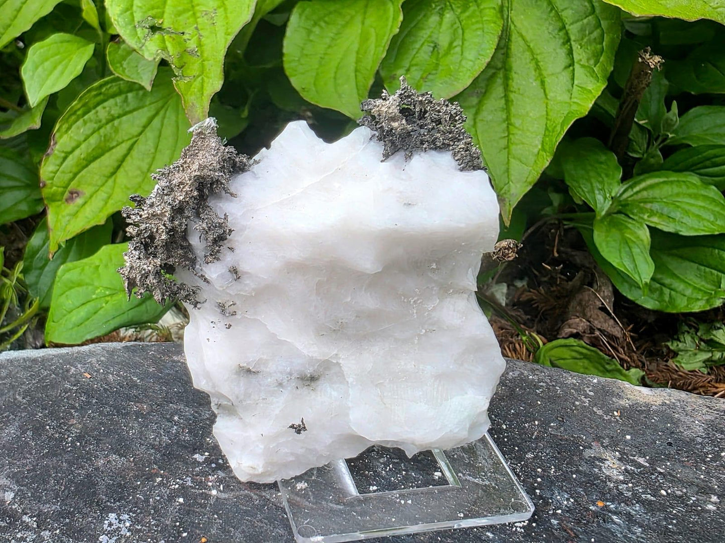 Native Silver Crystal On Calcite Matrix | Collectors Grade Mineral Specimen #13