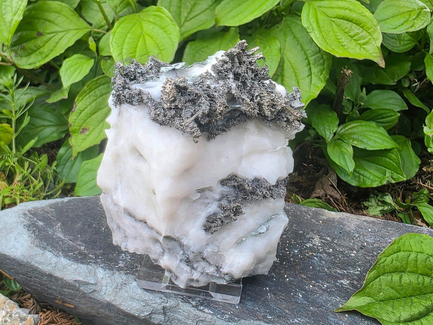 Large Native Silver Crystal On Calcite Matrix | Collectors Grade Mineral Specimen #12
