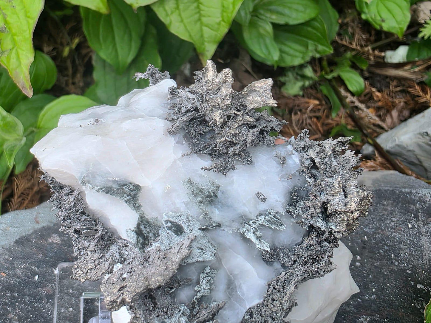 Large Native Silver Crystal On Calcite Matrix | Collectors Grade Mineral Specimen #12