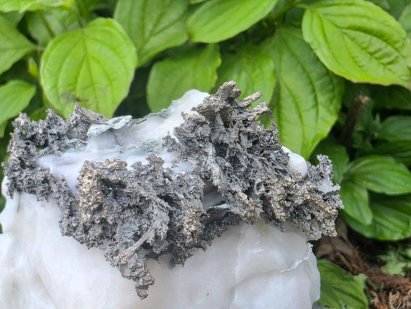 Large Native Silver Crystal On Calcite Matrix | Collectors Grade Mineral Specimen #12