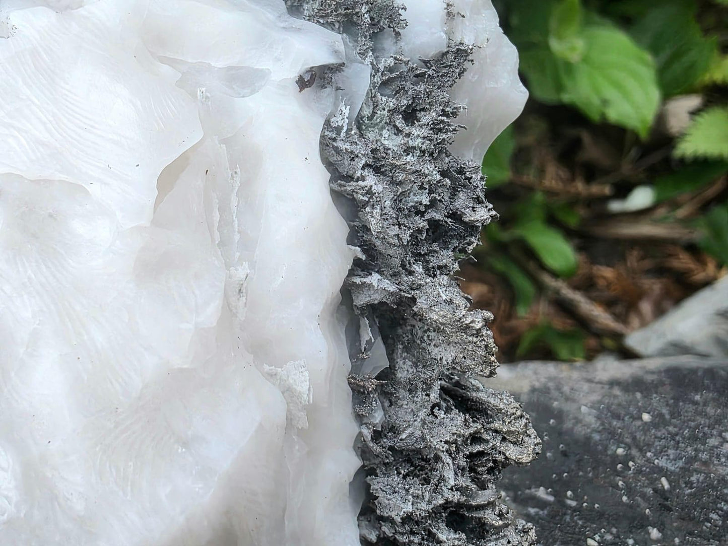 Large Native Silver Crystal On Calcite Matrix | Collectors Grade Mineral Specimen #12