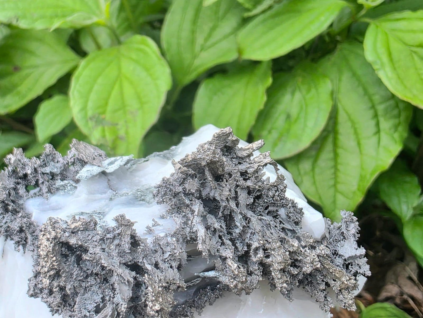 Large Native Silver Crystal On Calcite Matrix | Collectors Grade Mineral Specimen #12