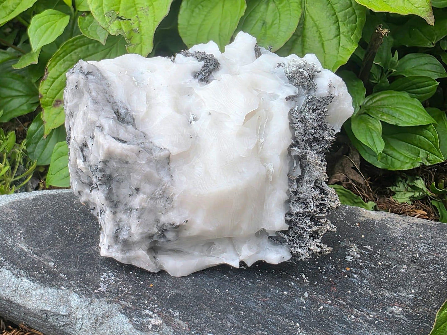 Large Native Silver Crystal On Calcite Matrix | Collectors Grade Mineral Specimen #12