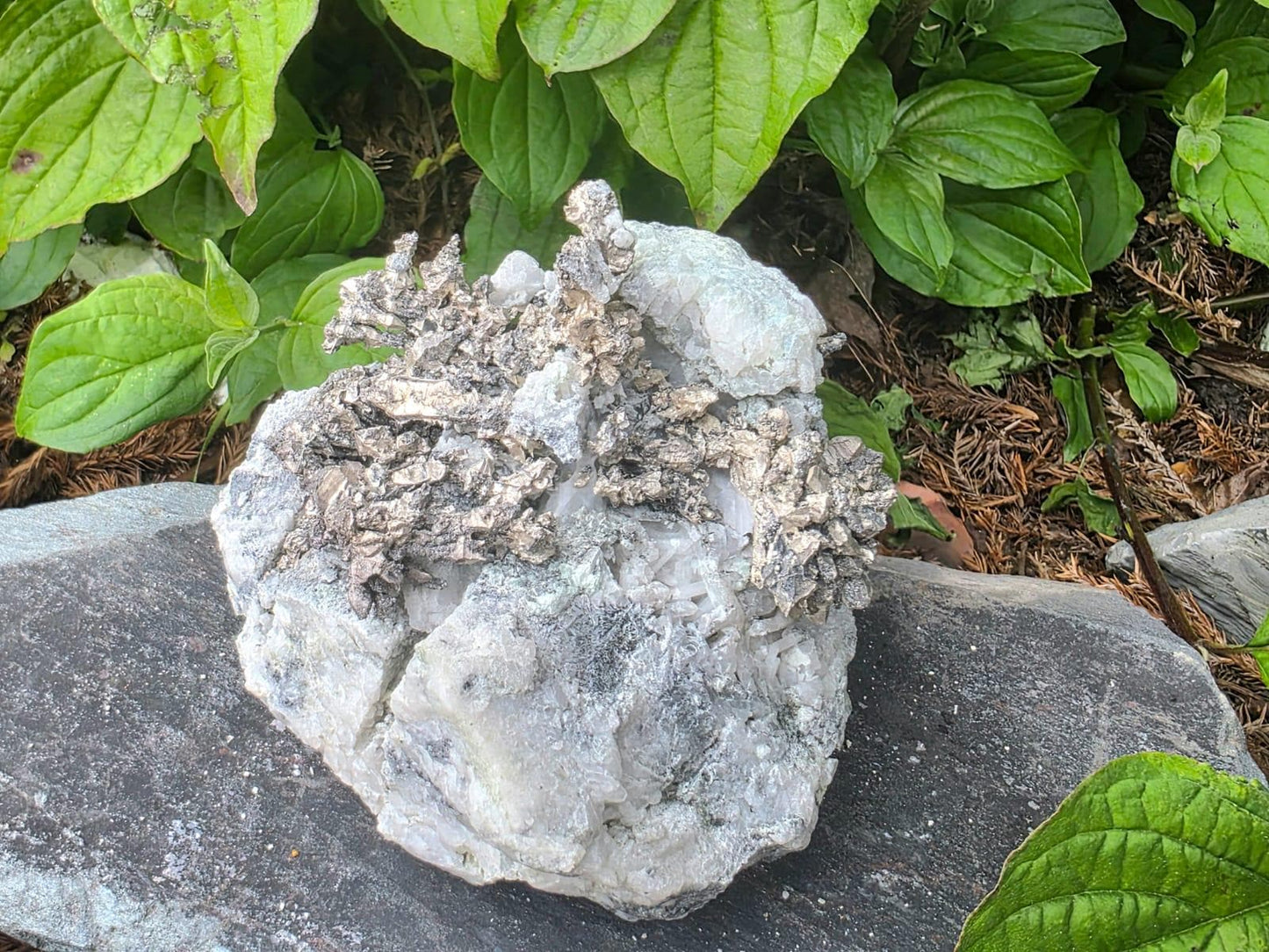 Natural Sculptural Native Silver Crystal On Calcite Matrix | Collectors Grade Mineral Specimen #11