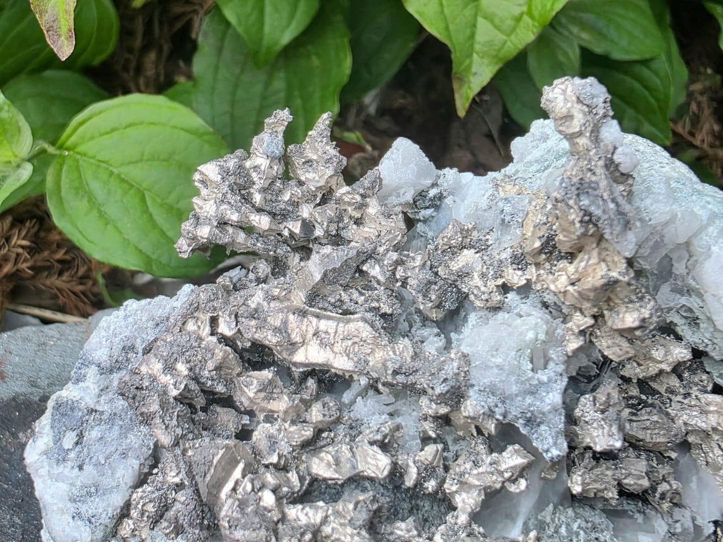 Natural Sculptural Native Silver Crystal On Calcite Matrix | Collectors Grade Mineral Specimen #11