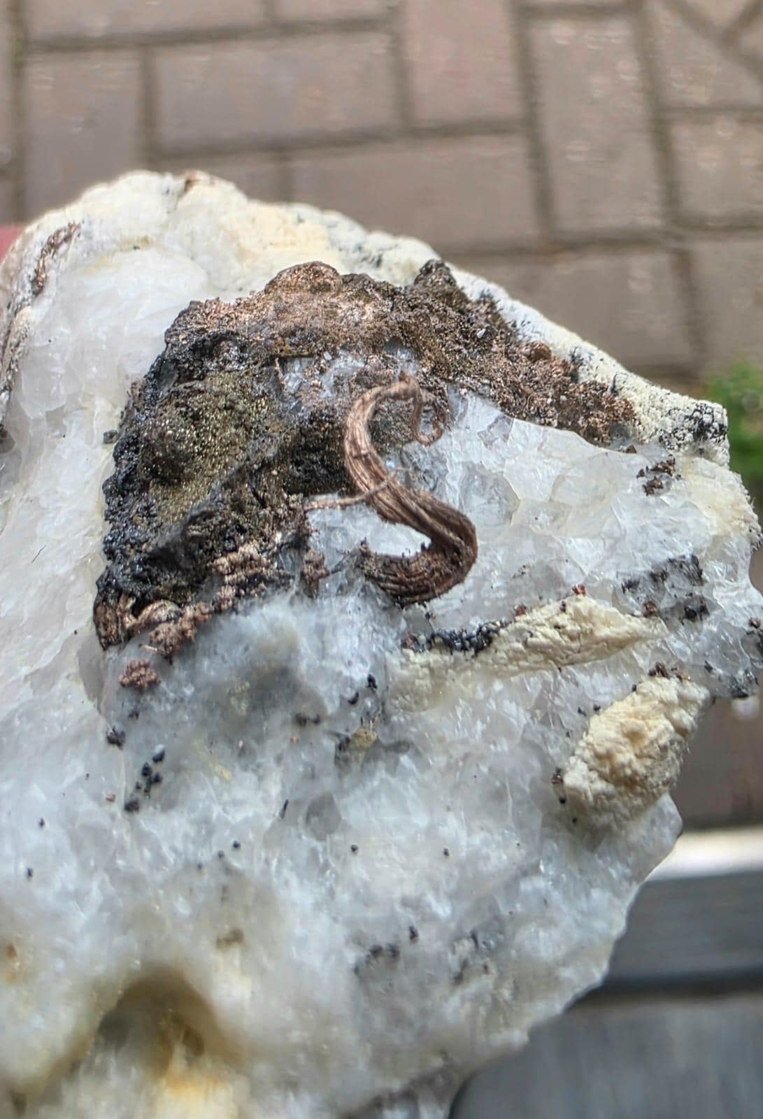 Natural Native Silver Crystal | Collectors Mineral Specimen #10