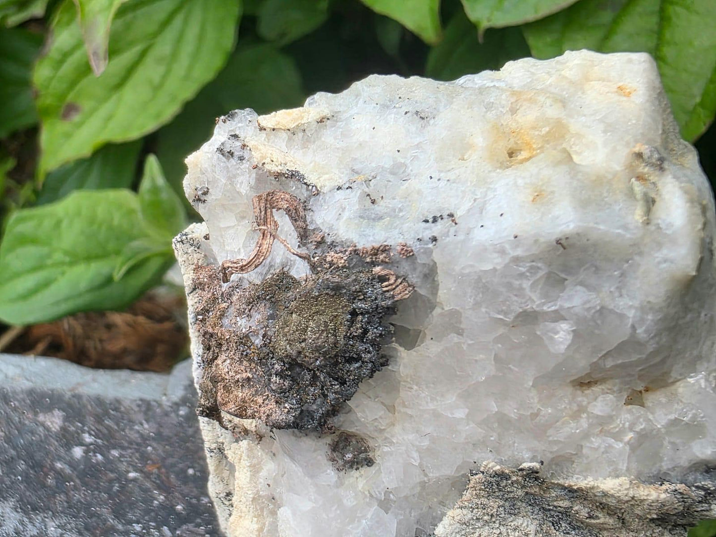 Natural Native Silver Crystal | Collectors Mineral Specimen #10