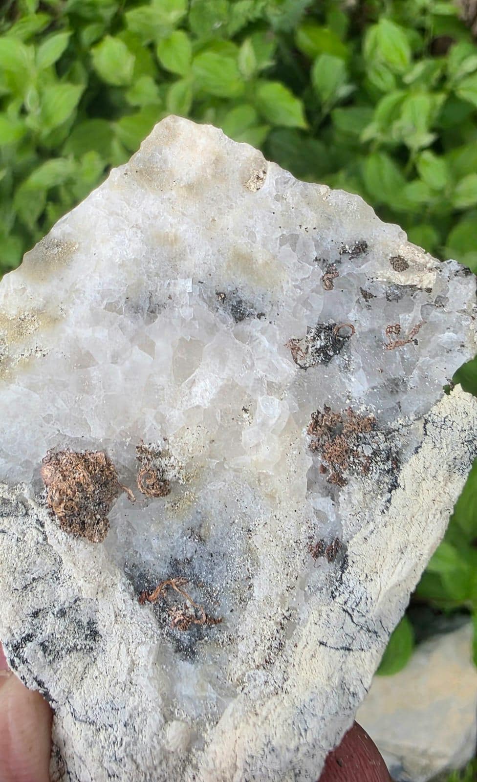 Natural Native Silver Crystal | Collectors Mineral Specimen #10
