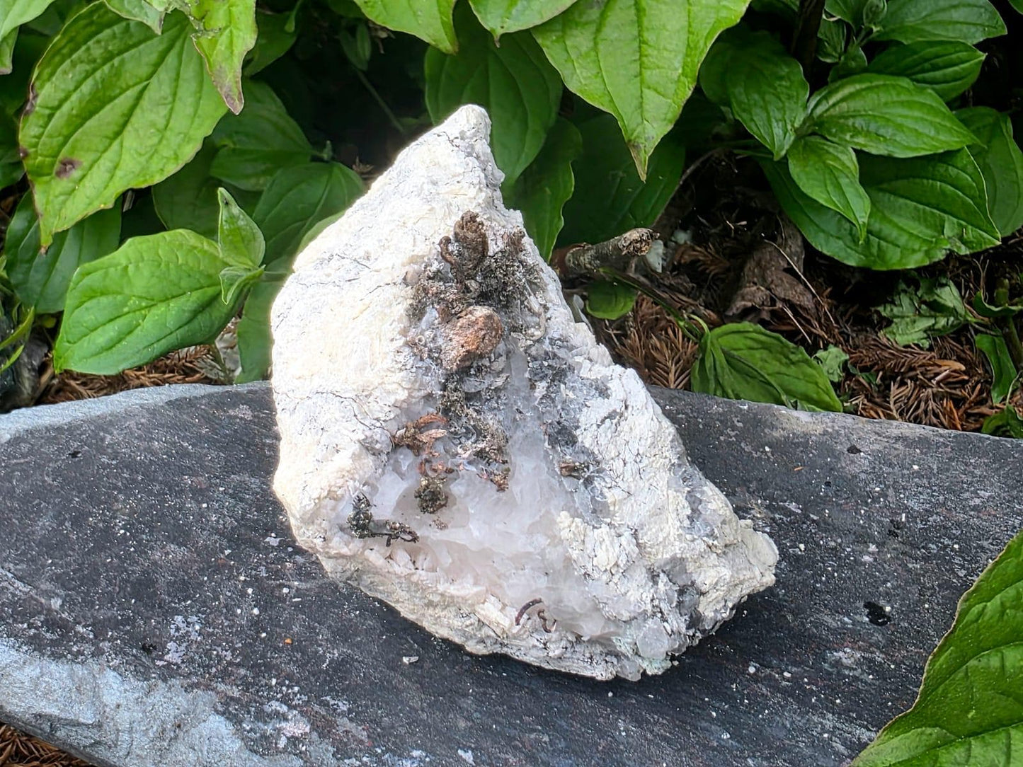 Natural Native Silver Wire Crystal Specimen | Collectors Mineral Specimen #9