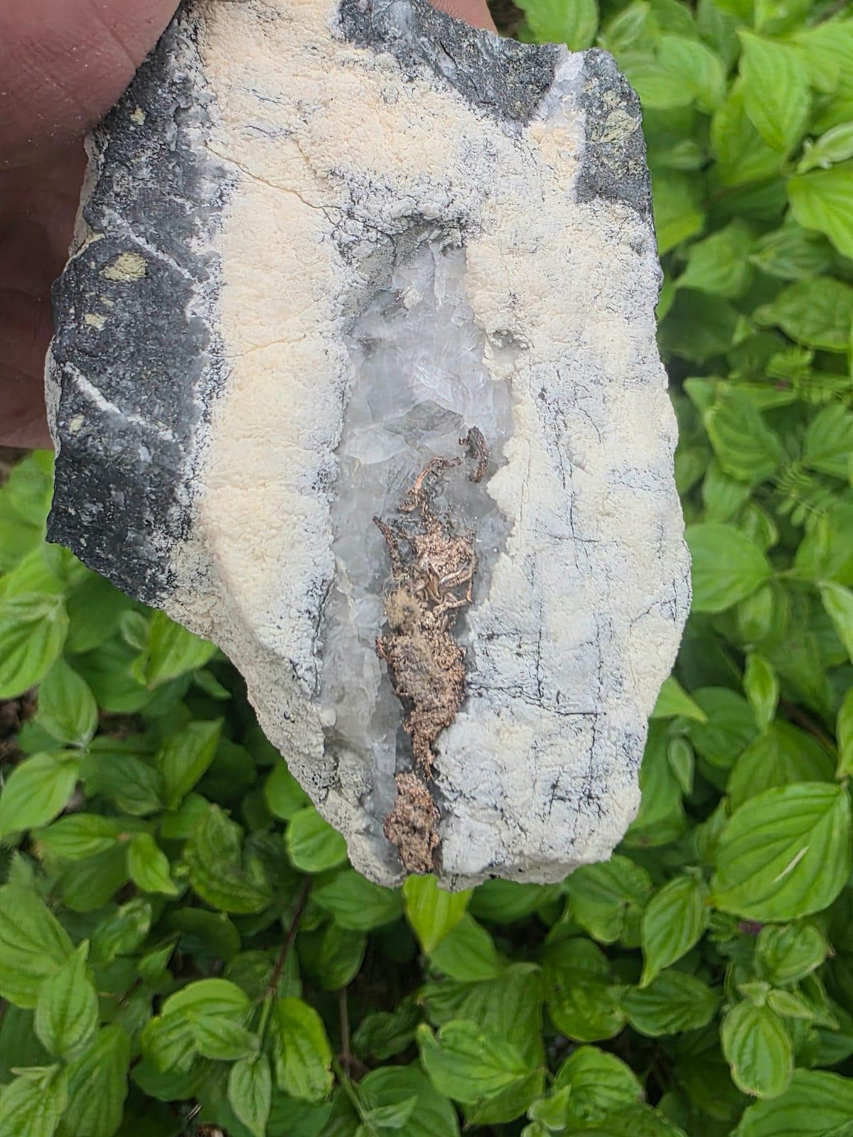 Natural Native Silver within Calcite Vein | Collectors Mineral Specimen #8