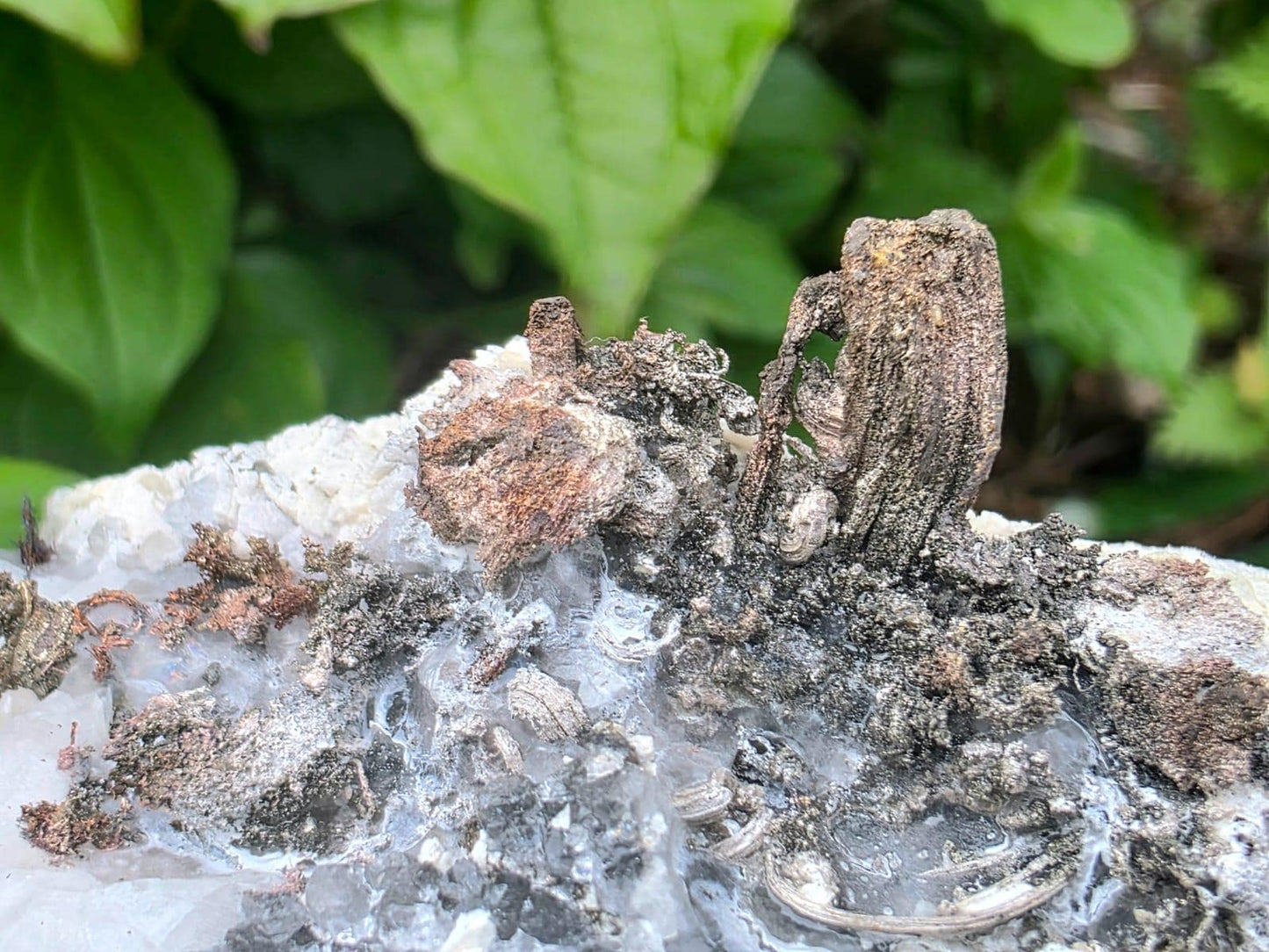Natural Native Silver Wire Crystal Specimen | Collectors Mineral Specimen #9