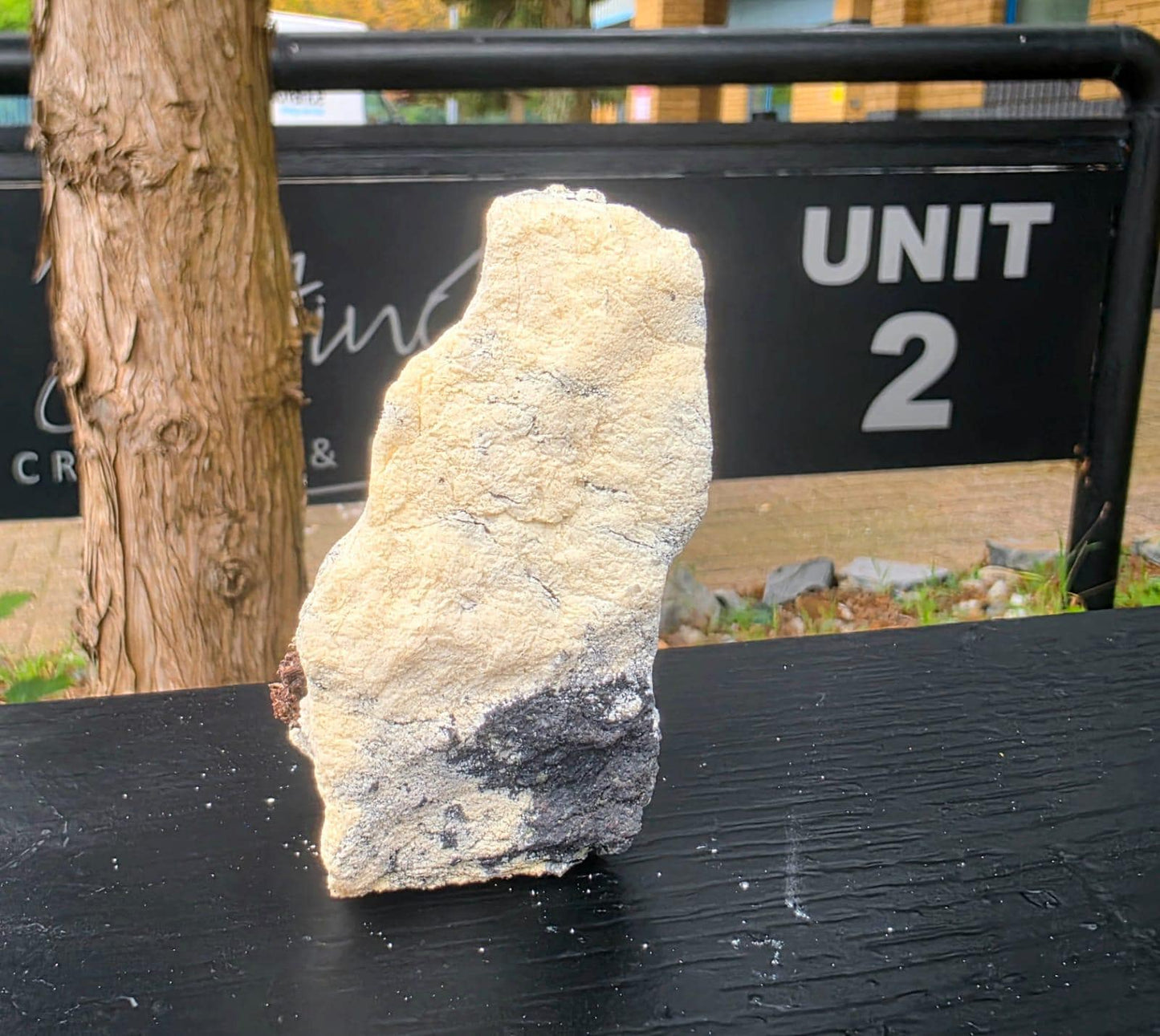 Natural Native Silver within Calcite Vein | Collectors Mineral Specimen #8
