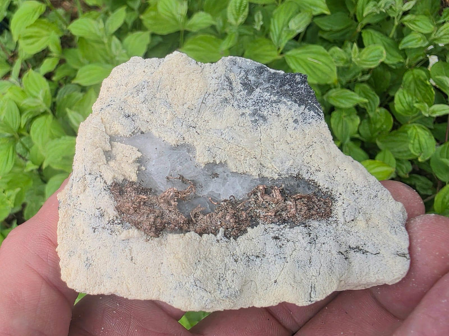 Natural Native Silver within Calcite Vein | Collectors Mineral Specimen #8