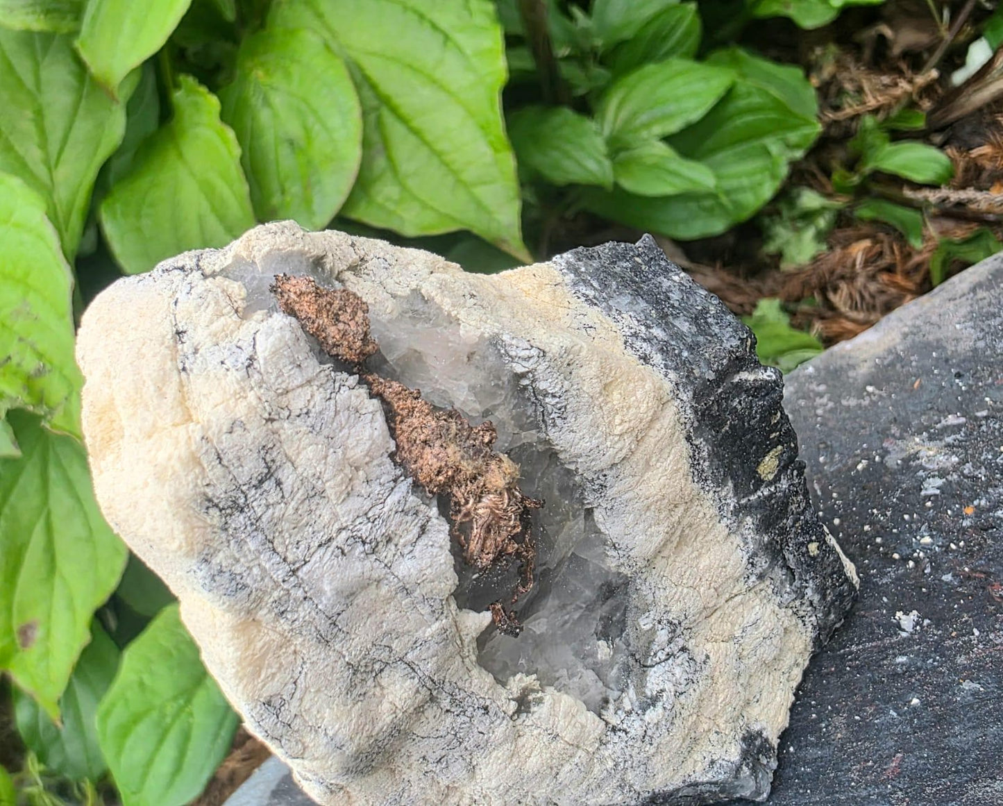 Natural Native Silver within Calcite Vein | Collectors Mineral Specimen #8