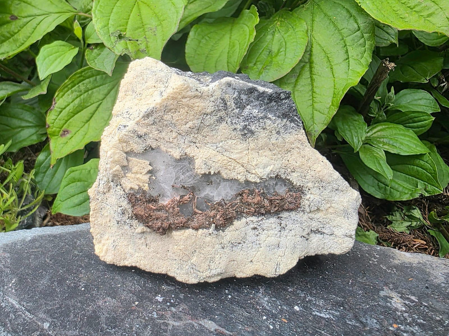 Natural Native Silver within Calcite Vein | Collectors Mineral Specimen #8