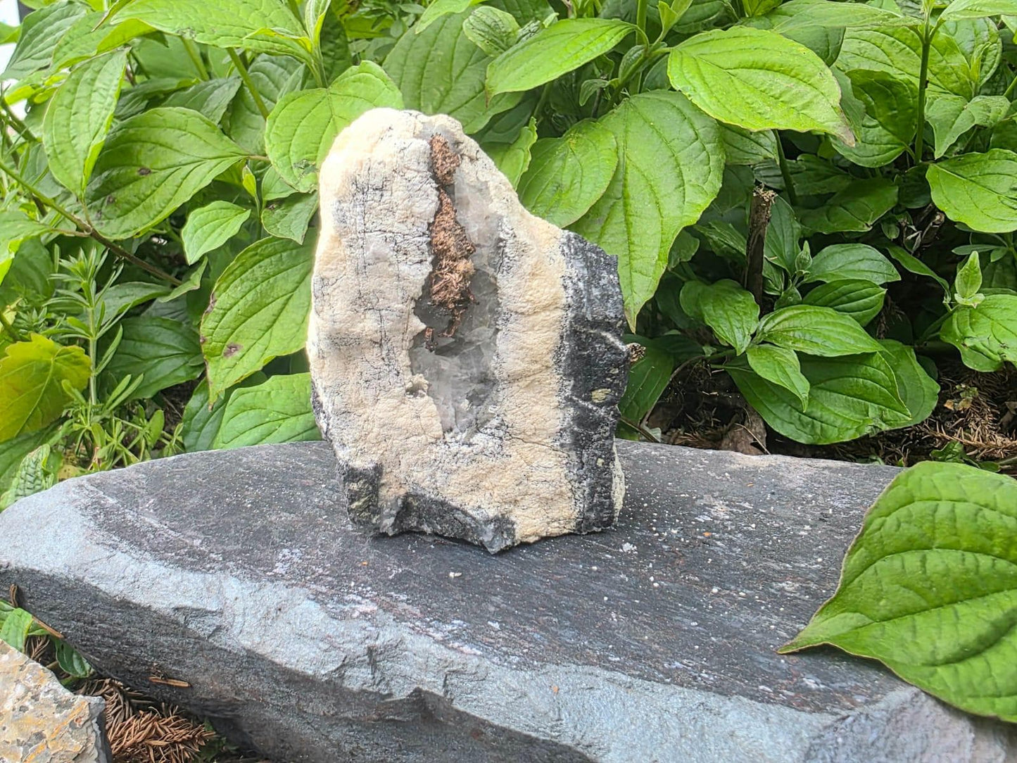 Natural Native Silver within Calcite Vein | Collectors Mineral Specimen #8