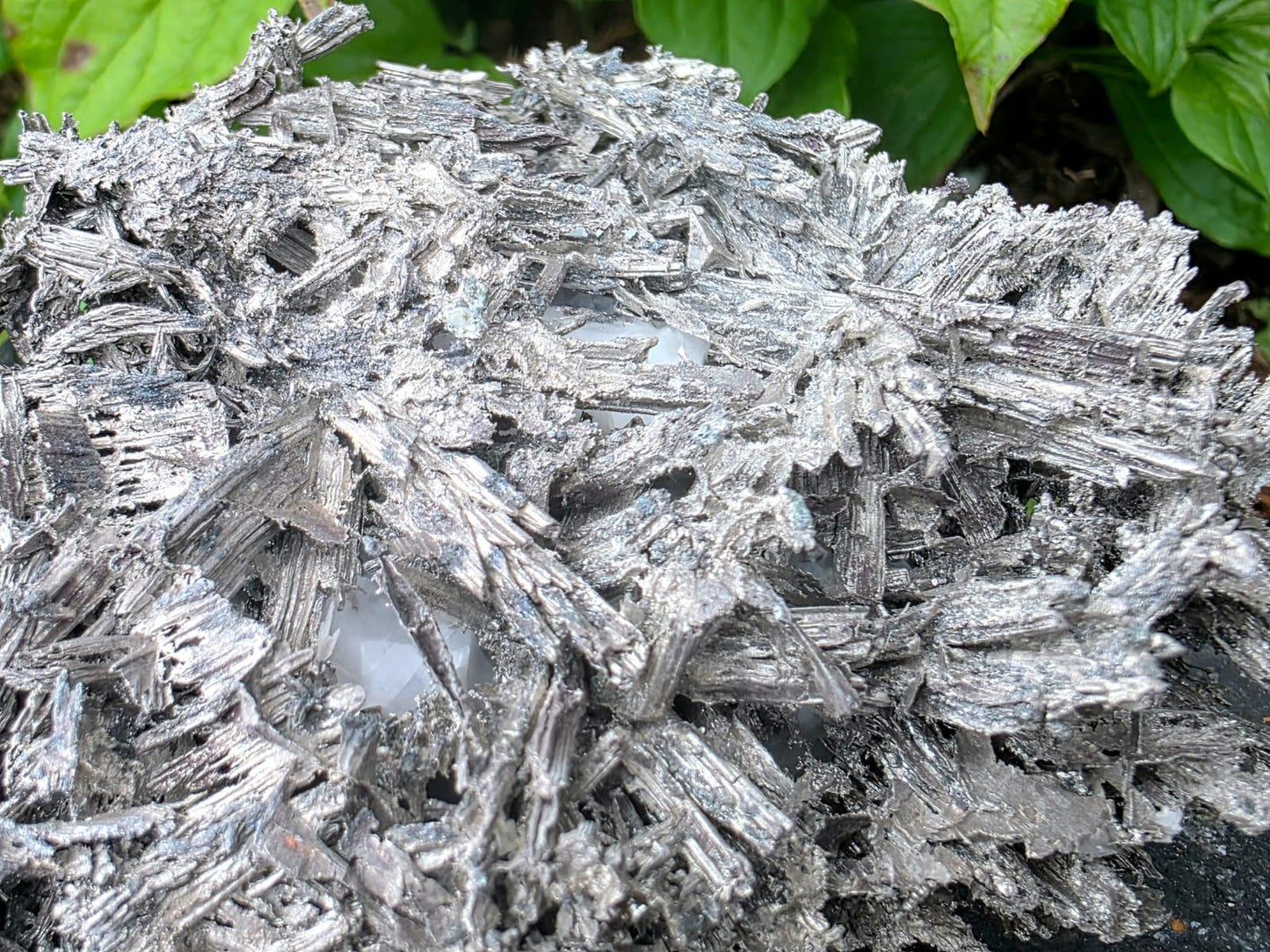 Large Crystallised Native Silver on Calcite Matrix | Skeletal Growth | Collectors Grade  Mineral Specimen #6