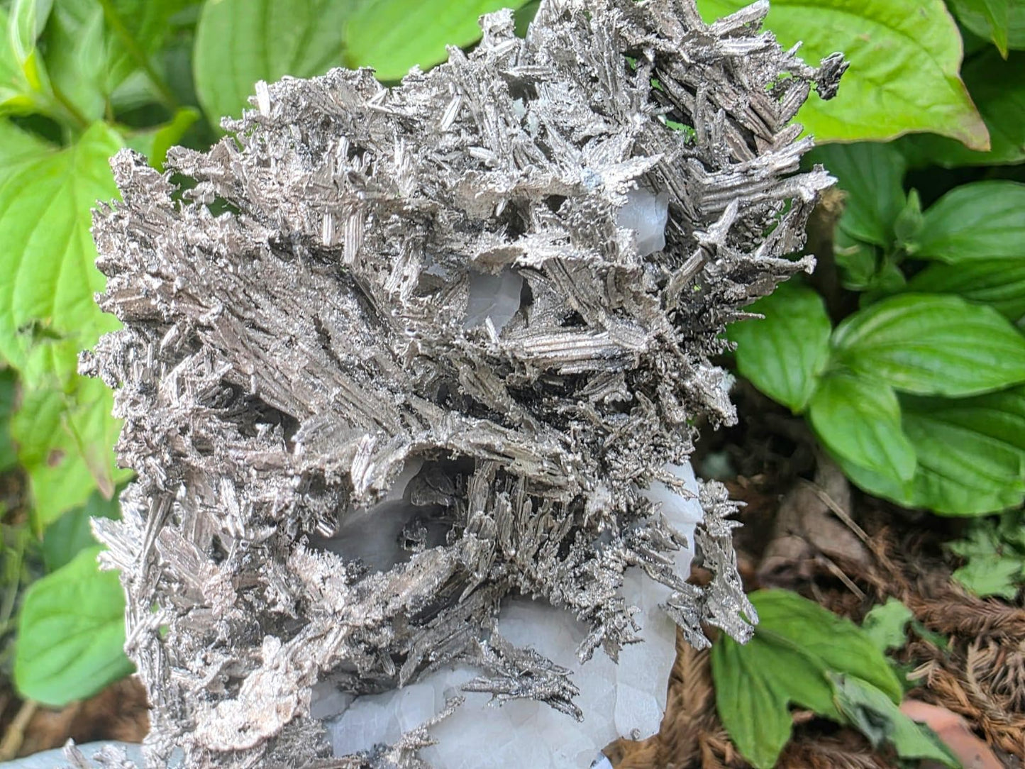 Exceptional Crystallised Native Silver on Calcite Matrix | Collectors Grade  Mineral Specimen #7