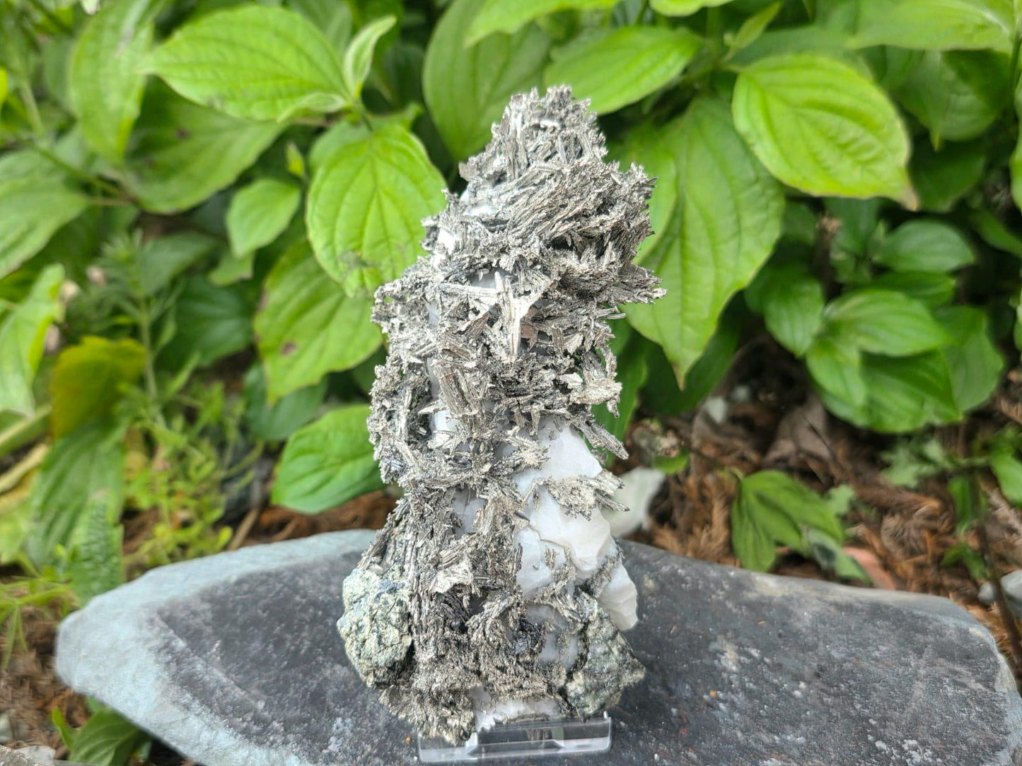 Exceptional Crystallised Native Silver on Calcite Matrix | Collectors Grade  Mineral Specimen #7