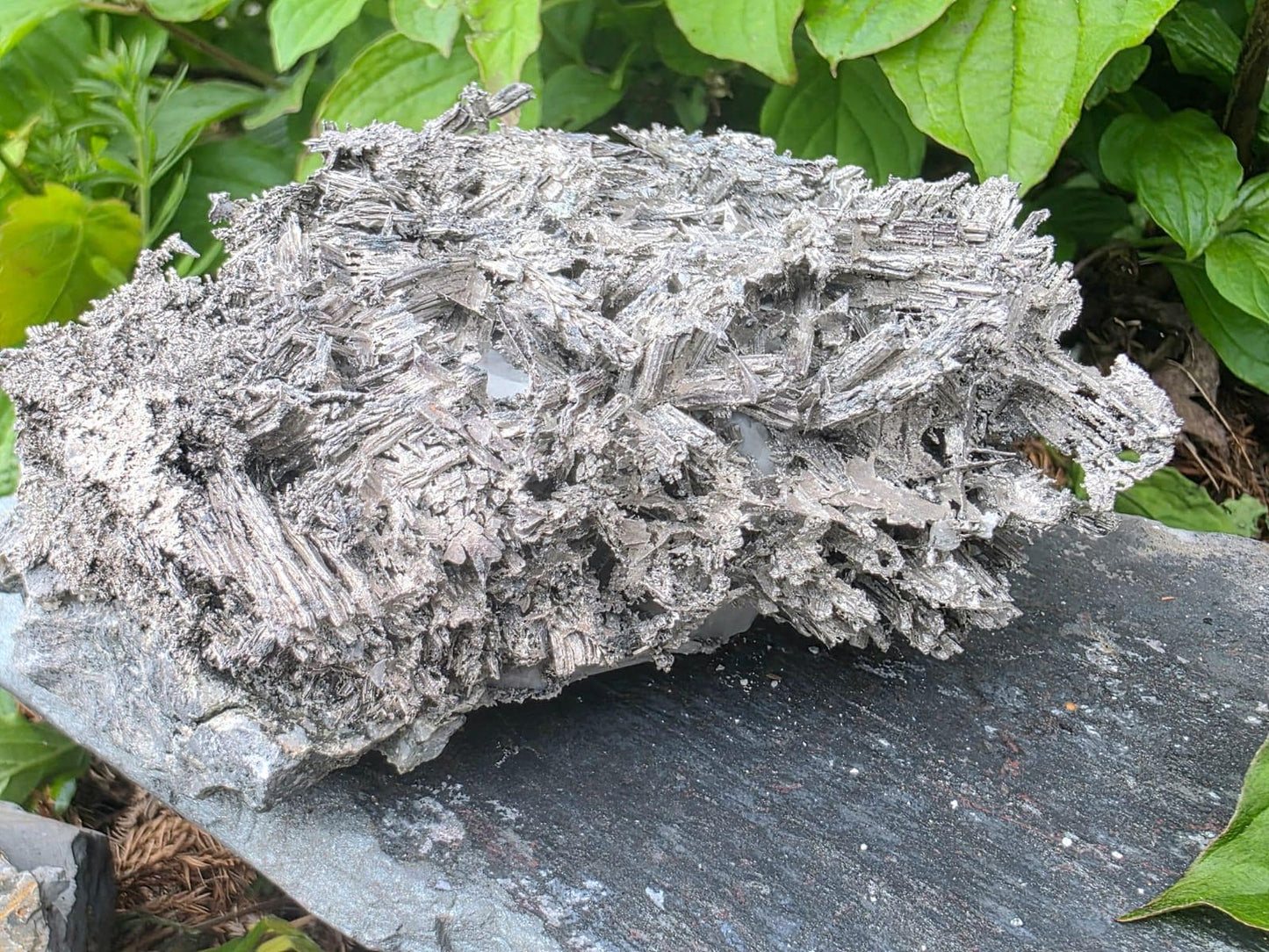 Large Crystallised Native Silver on Calcite Matrix | Skeletal Growth | Collectors Grade  Mineral Specimen #6