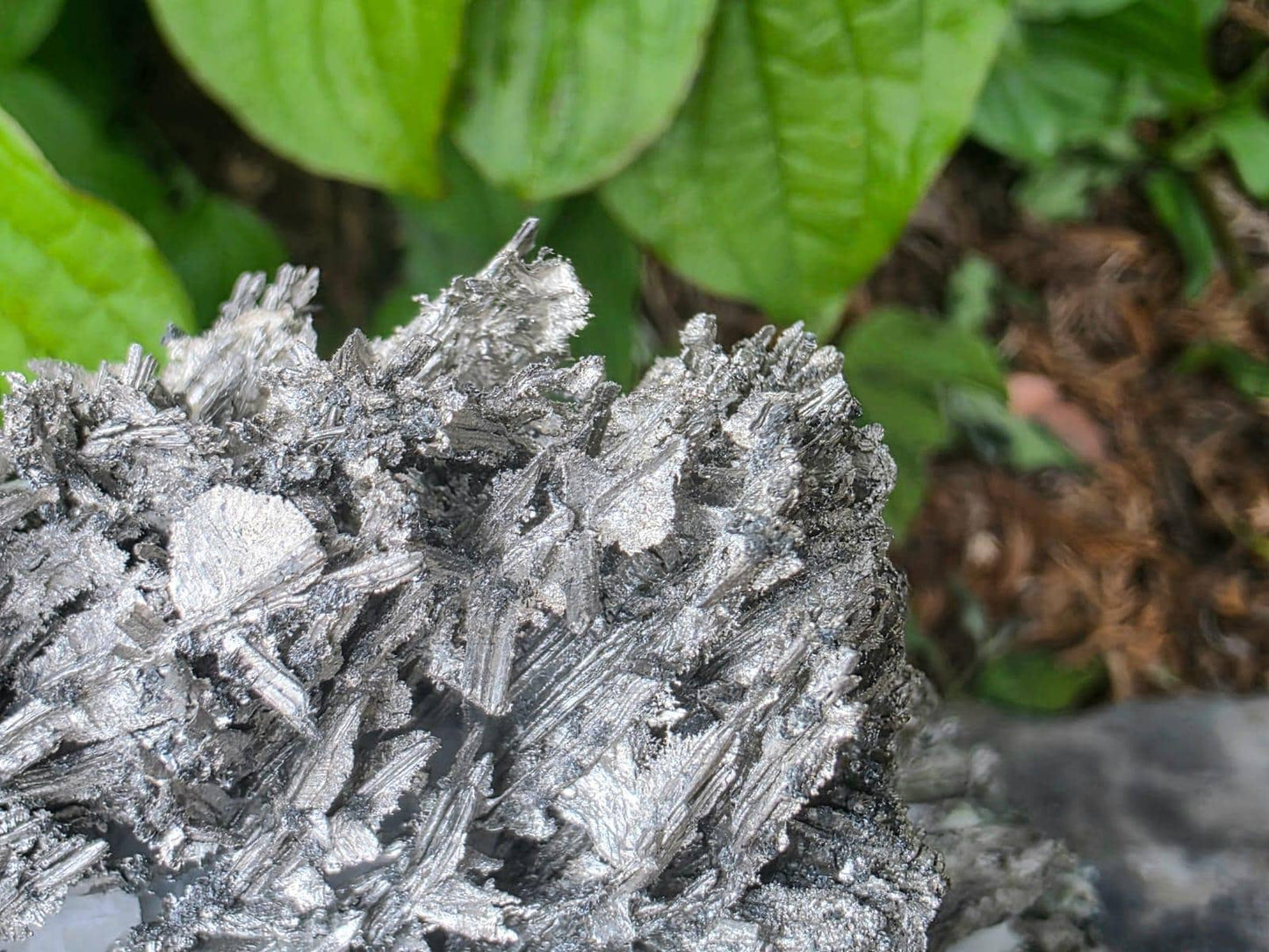 Exceptional Crystallised Native Silver on Calcite Matrix | Collectors Grade  Mineral Specimen #7