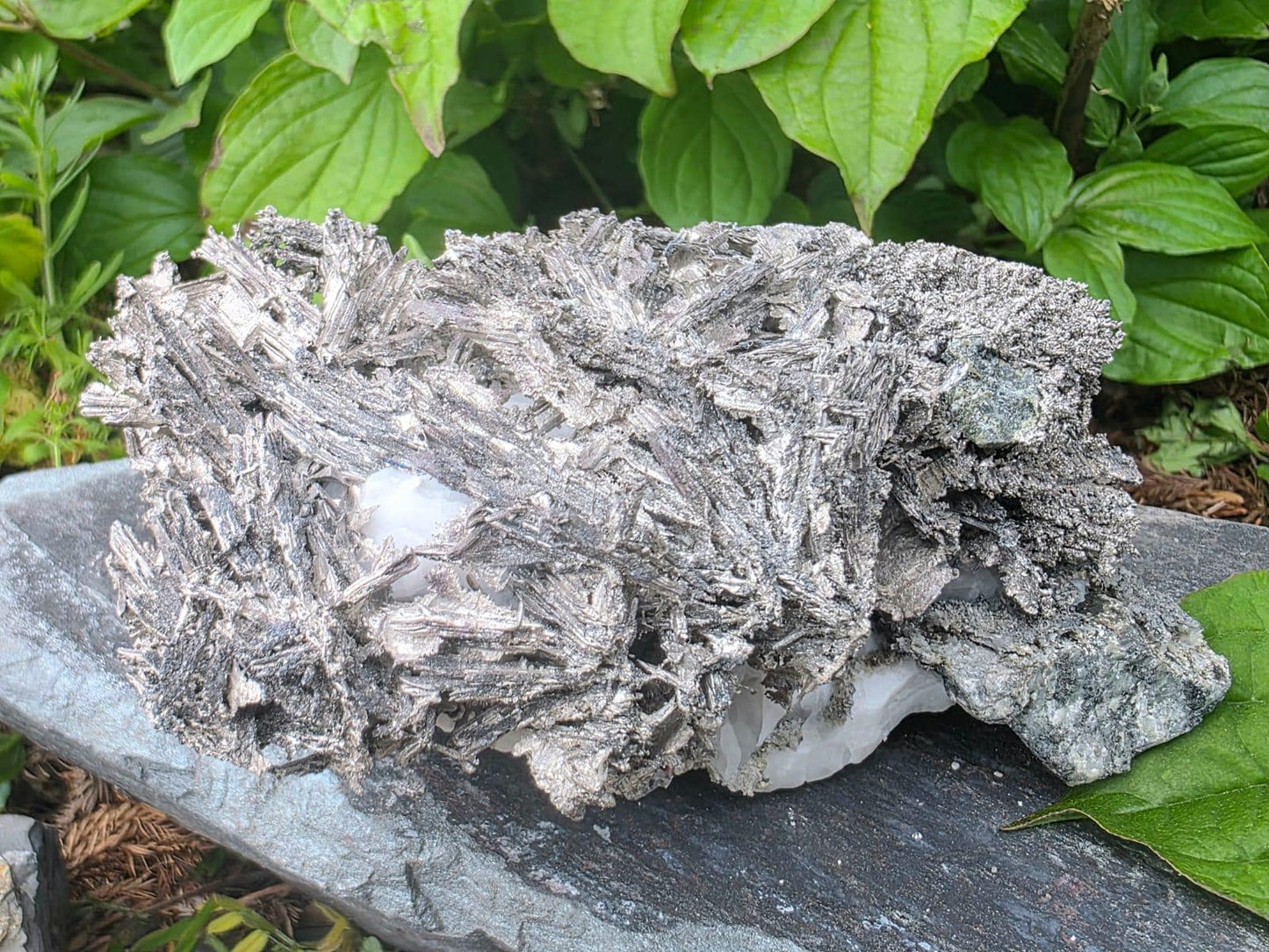 Large Crystallised Native Silver on Calcite Matrix | Skeletal Growth | Collectors Grade  Mineral Specimen #6
