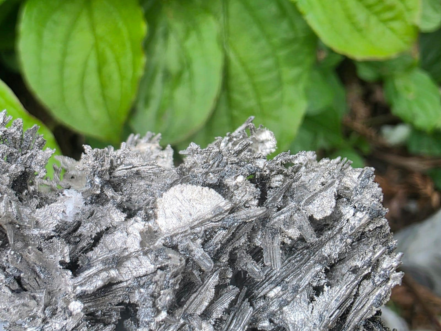 Exceptional Crystallised Native Silver on Calcite Matrix | Collectors Grade  Mineral Specimen #7