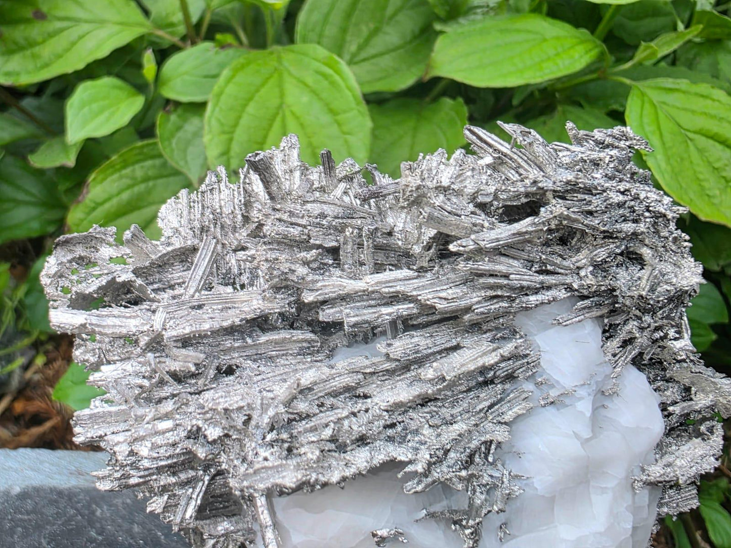 Large Crystallised Native Silver on Calcite Matrix | Skeletal Growth | Collectors Grade  Mineral Specimen #6