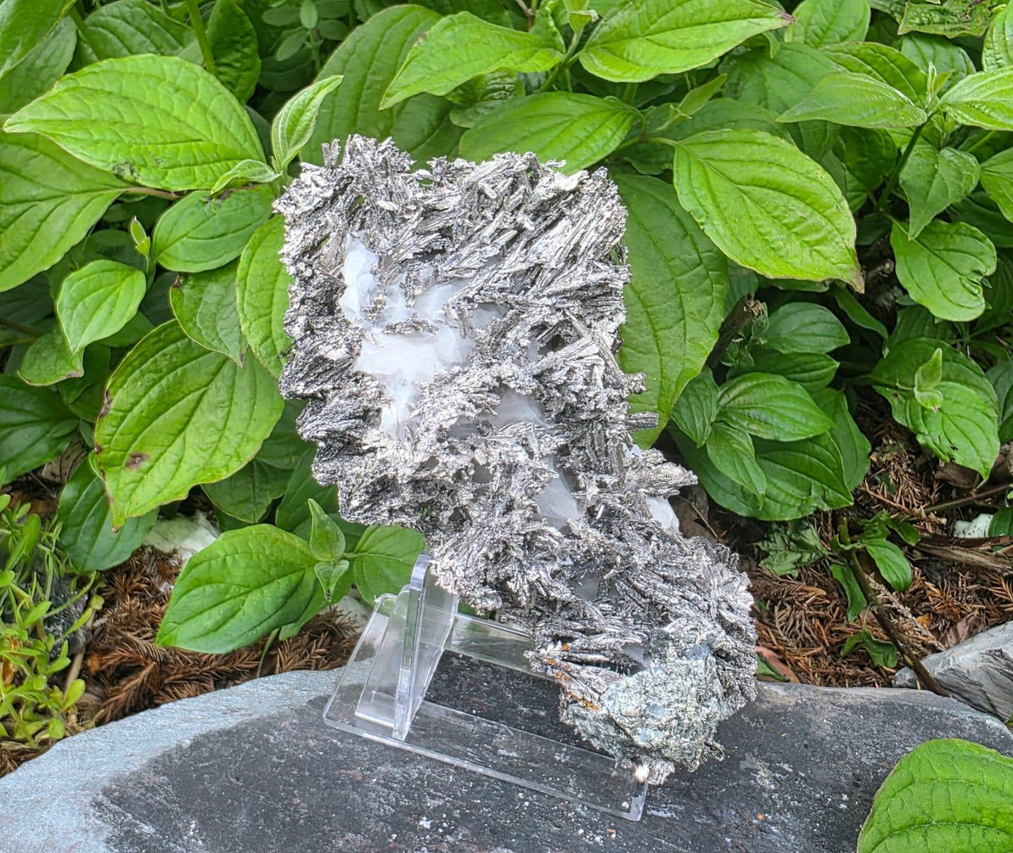 Exceptional Crystallised Native Silver on Calcite Matrix | Collectors Grade  Mineral Specimen #7