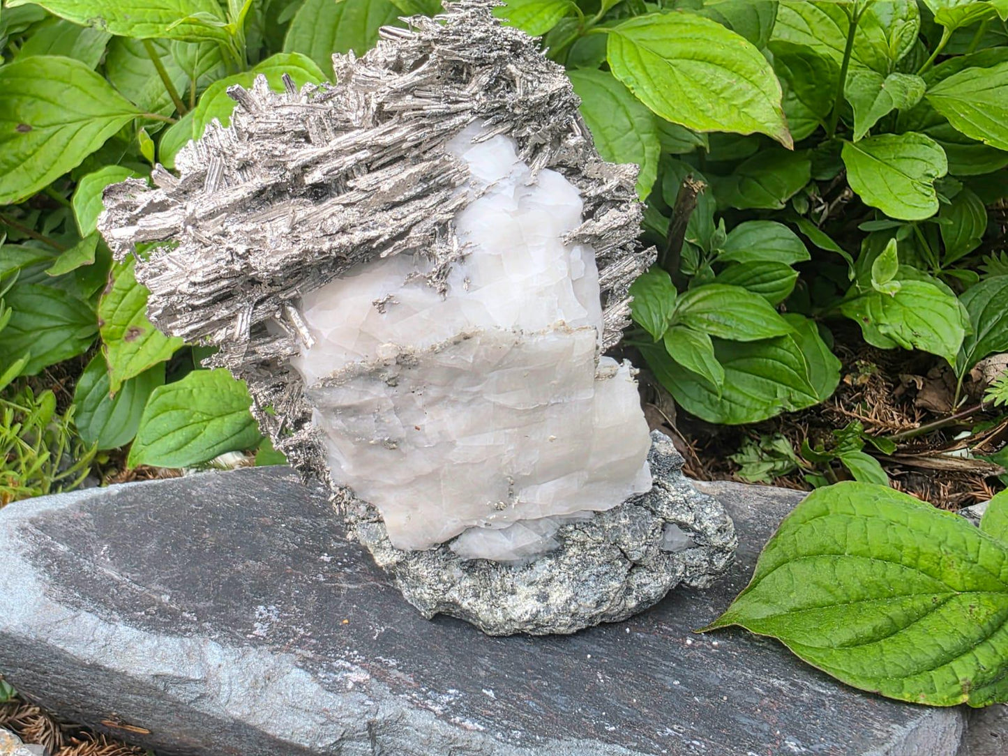 Large Crystallised Native Silver on Calcite Matrix | Skeletal Growth | Collectors Grade  Mineral Specimen #6