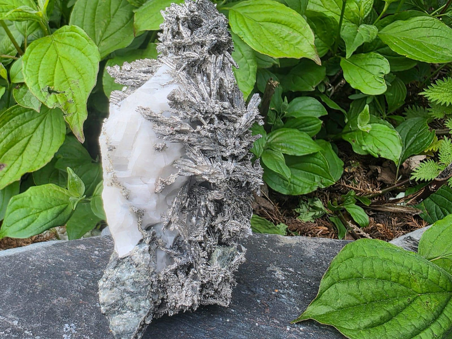 Large Crystallised Native Silver on Calcite Matrix | Skeletal Growth | Collectors Grade  Mineral Specimen #6