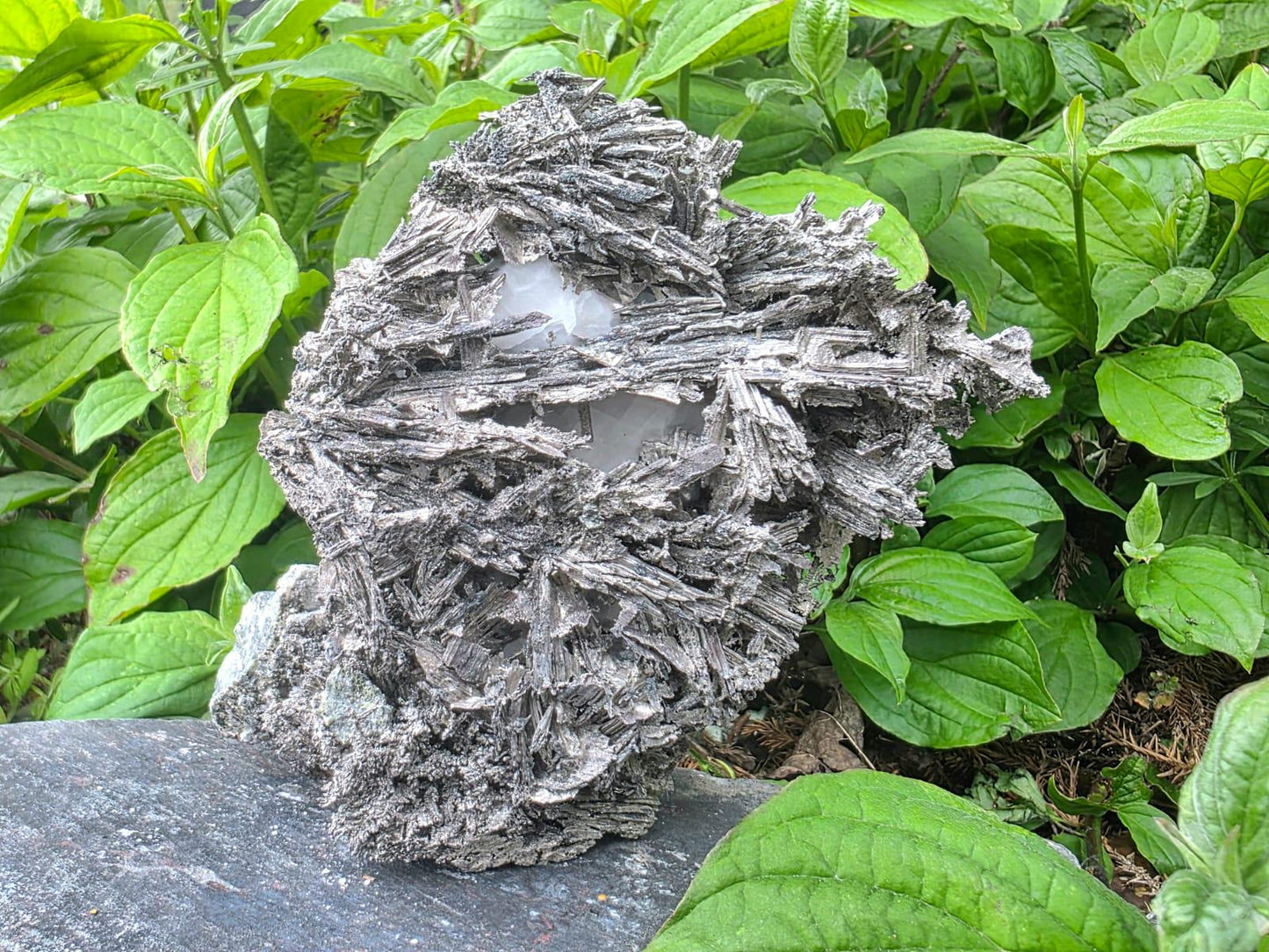 Large Crystallised Native Silver on Calcite Matrix | Skeletal Growth | Collectors Grade  Mineral Specimen #6