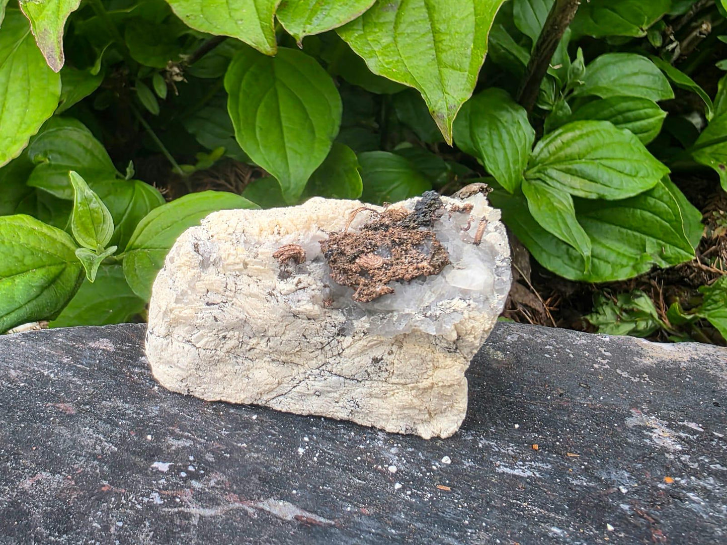 Natural Native Wire Silver on Calcite | Collectors Mineral Specimen #5