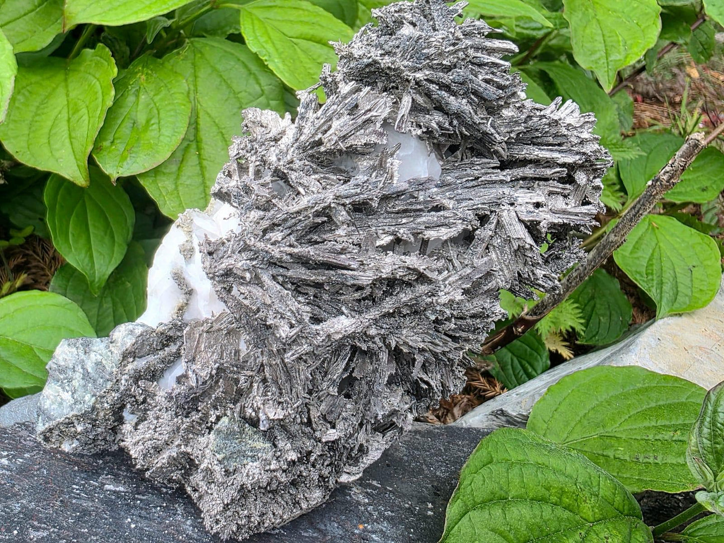Large Crystallised Native Silver on Calcite Matrix | Skeletal Growth | Collectors Grade  Mineral Specimen #6